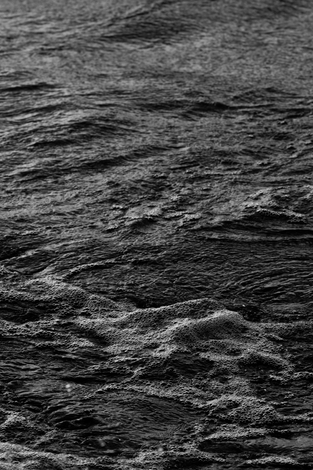 une photo en noir et blanc d’un plan d’eau