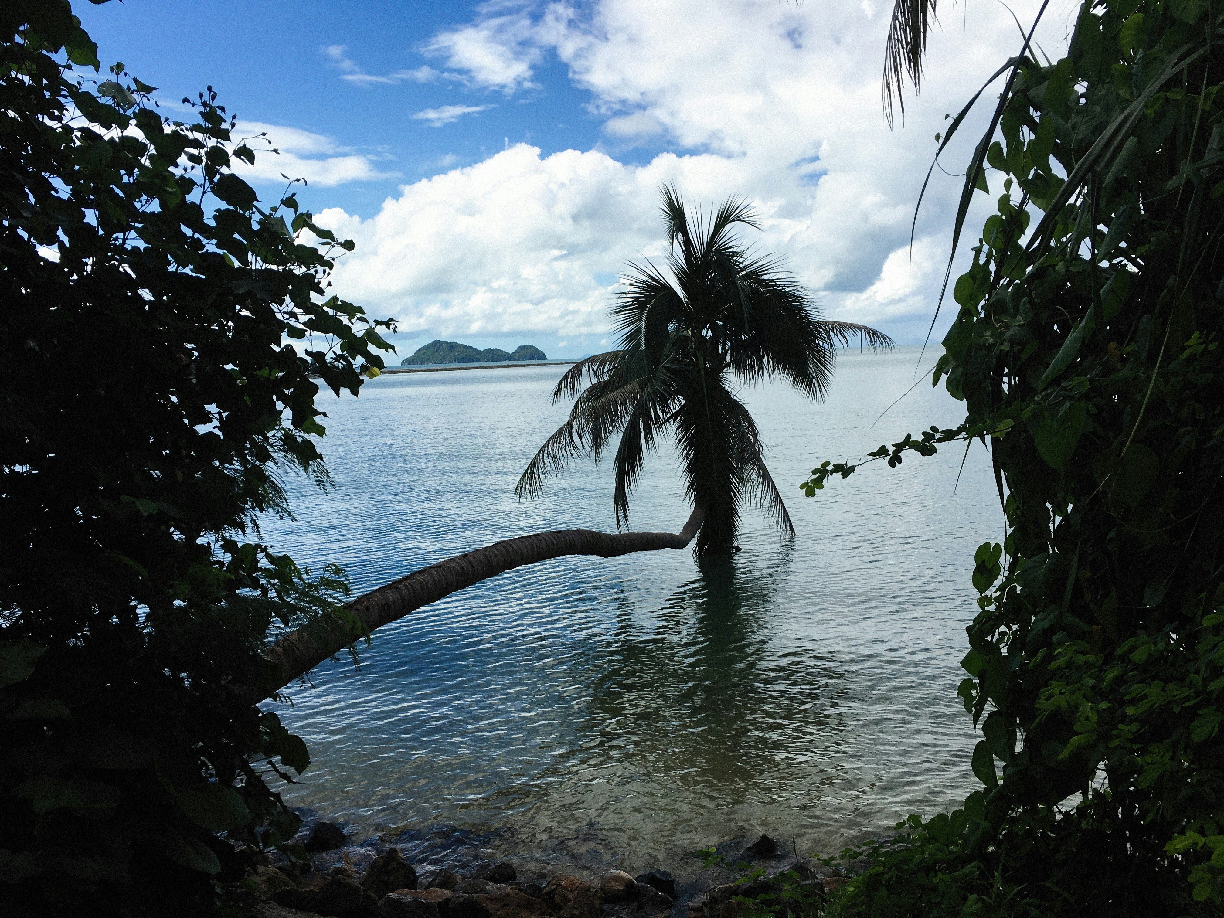 Photo by alexeydemidov