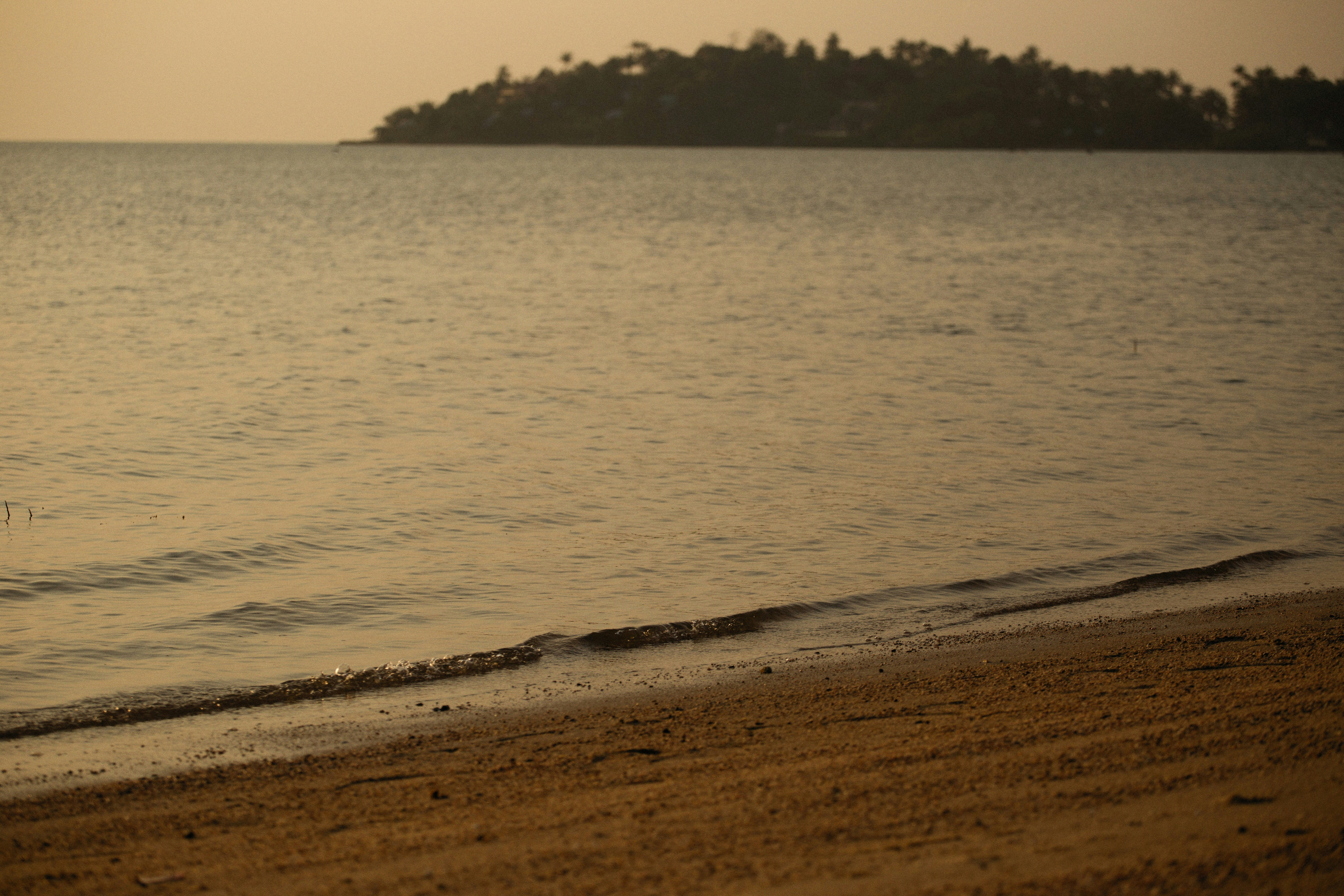 Photo by alexeydemidov