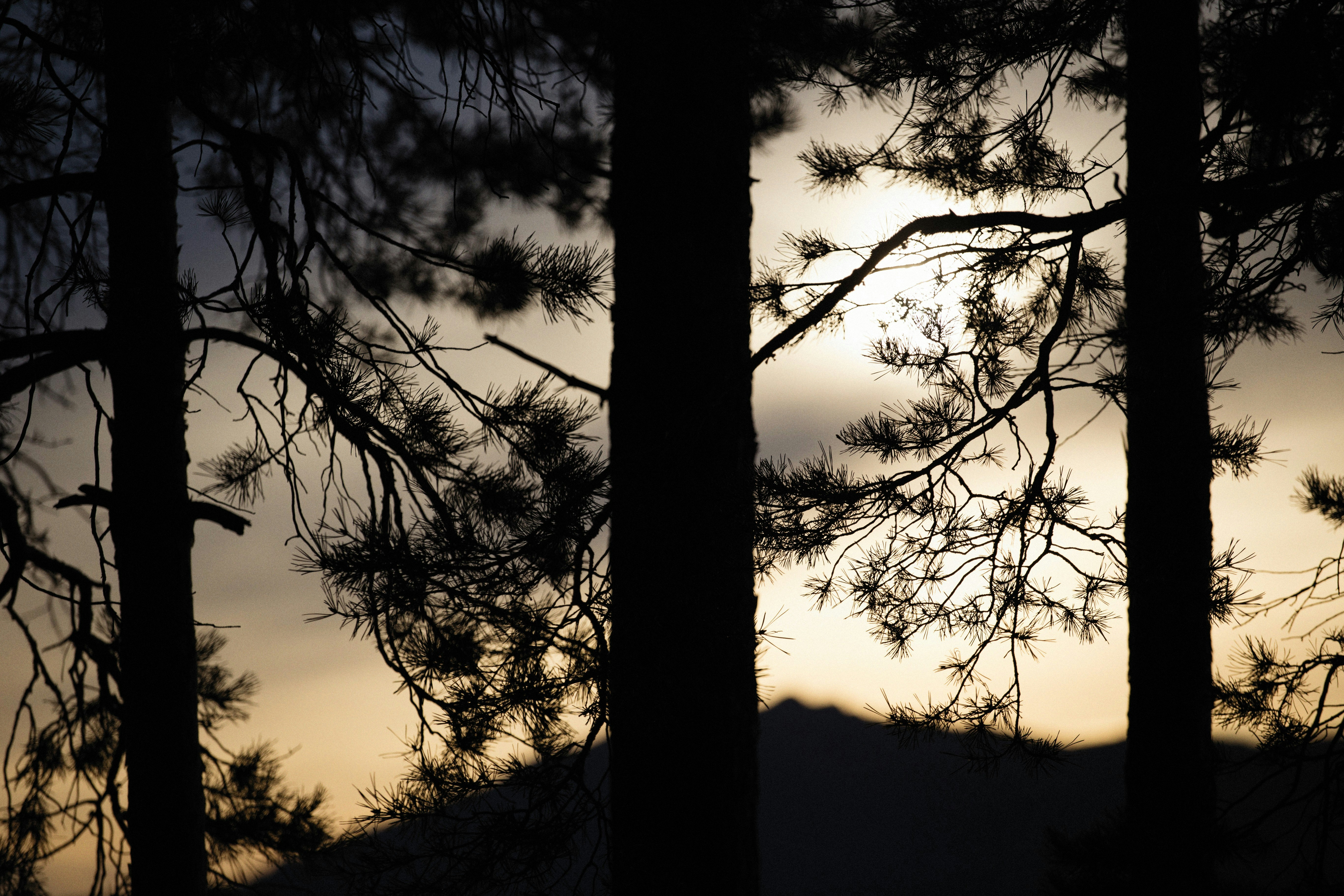 Photo by alexeydemidov