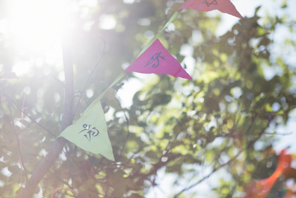 a group of colorful kites hanging from a tree