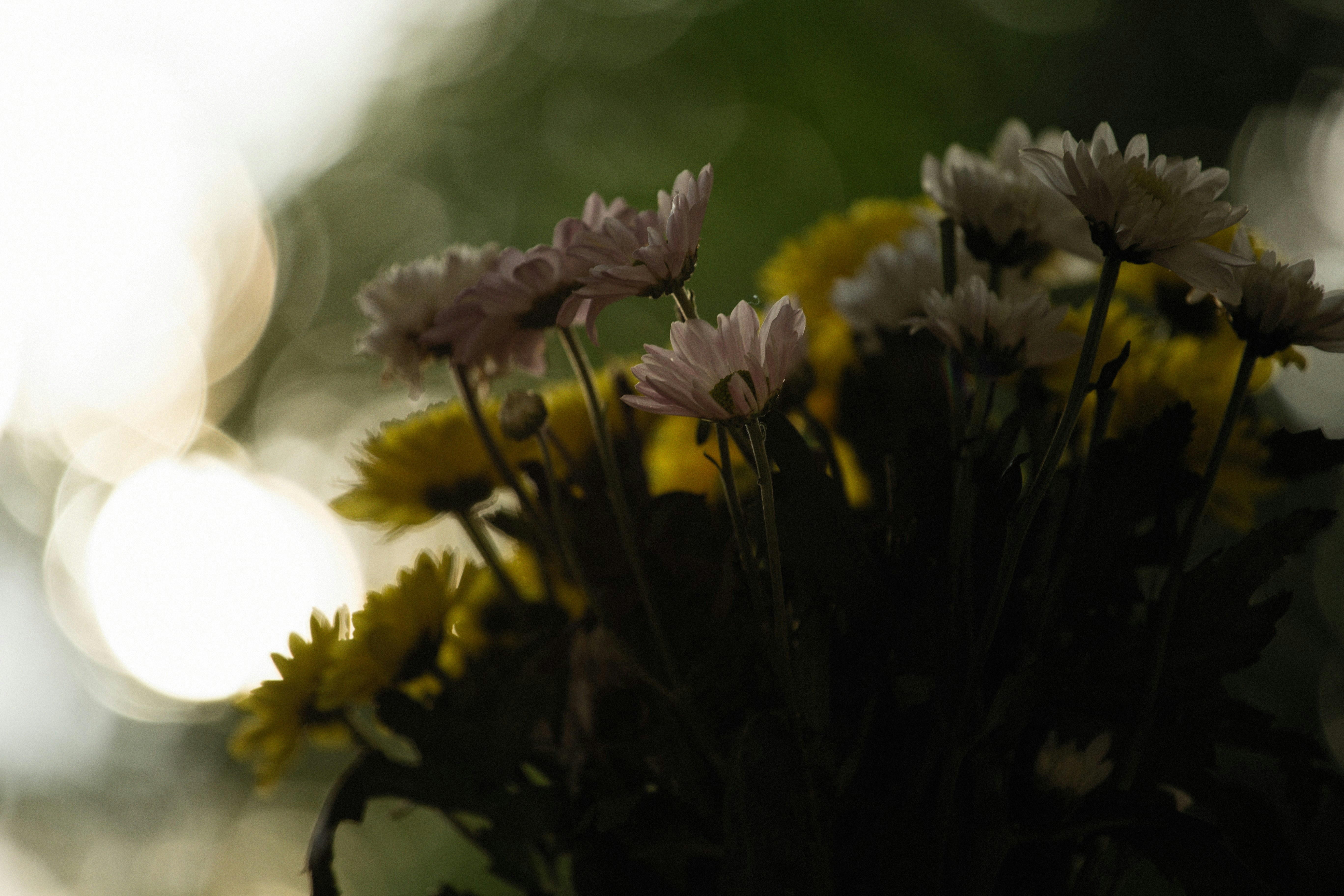 Photo by alexeydemidov