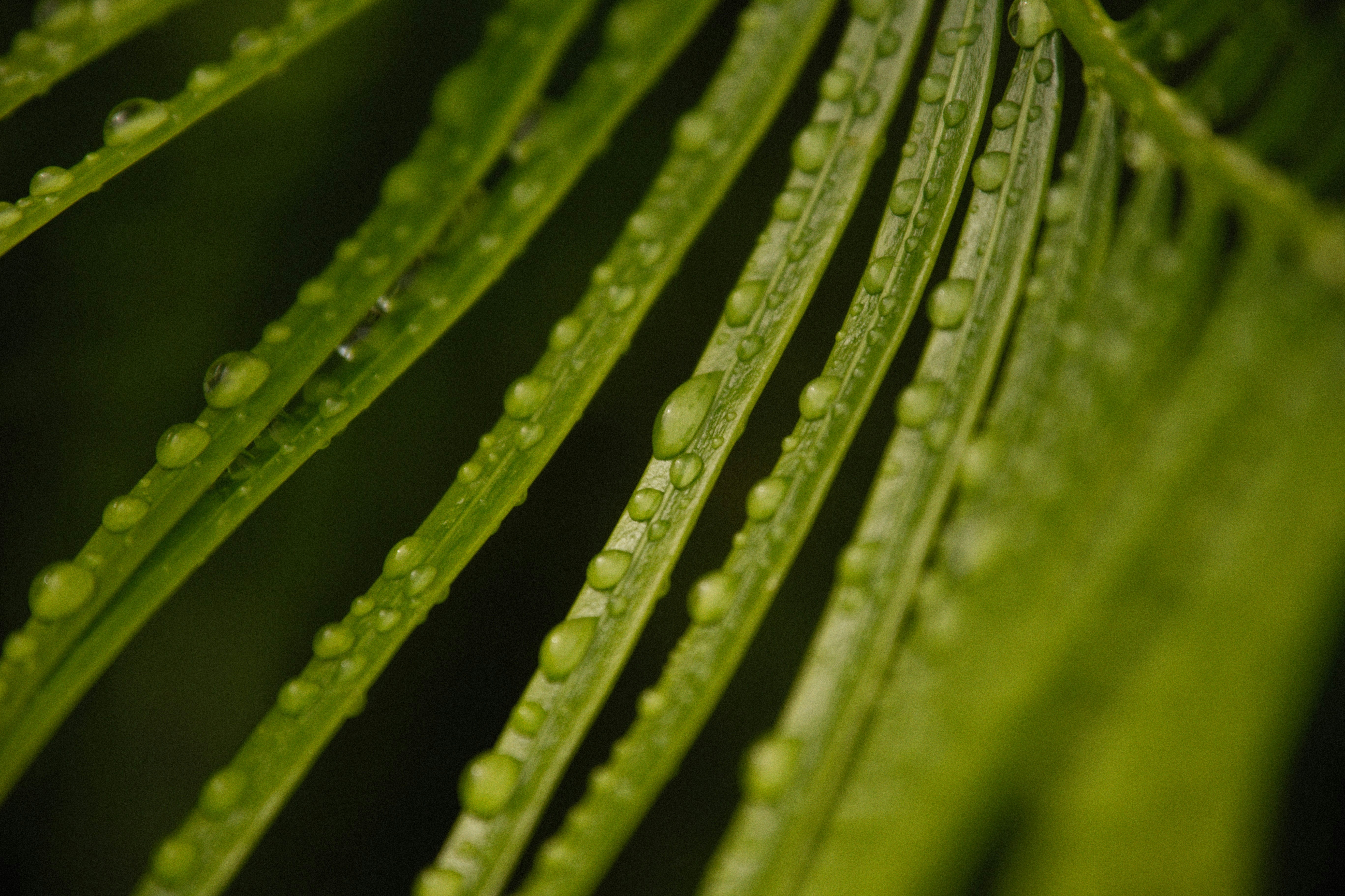 Photo by alexeydemidov