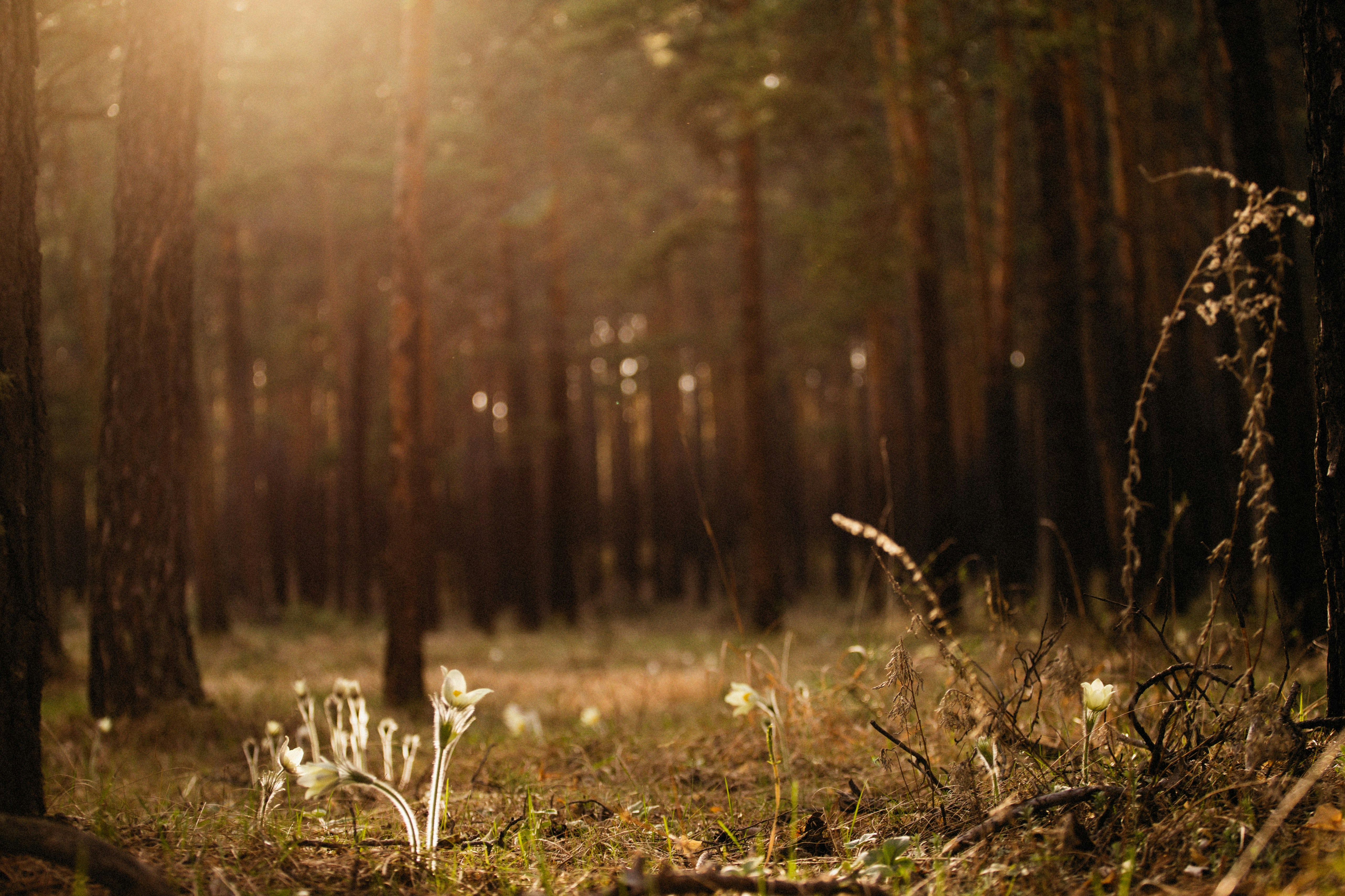 Photo by alexeydemidov