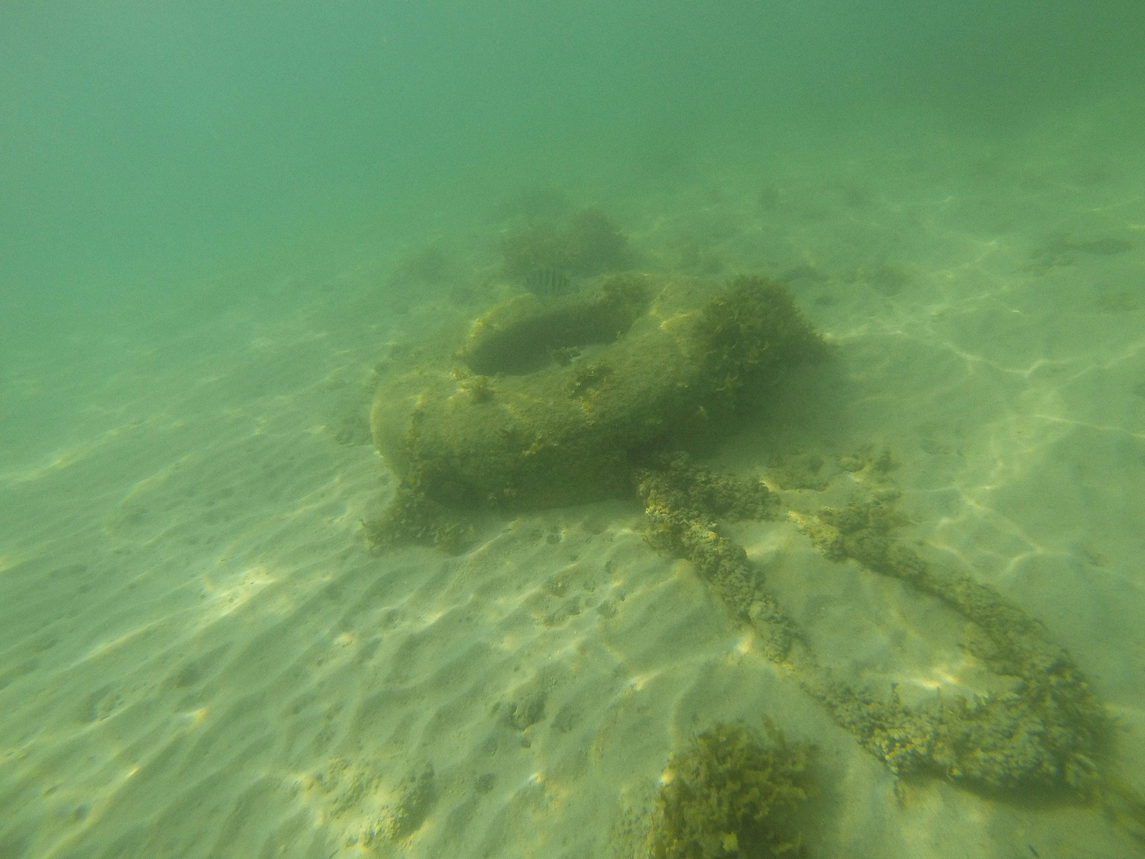 Artifacts from Another World (image credits: unsplash)