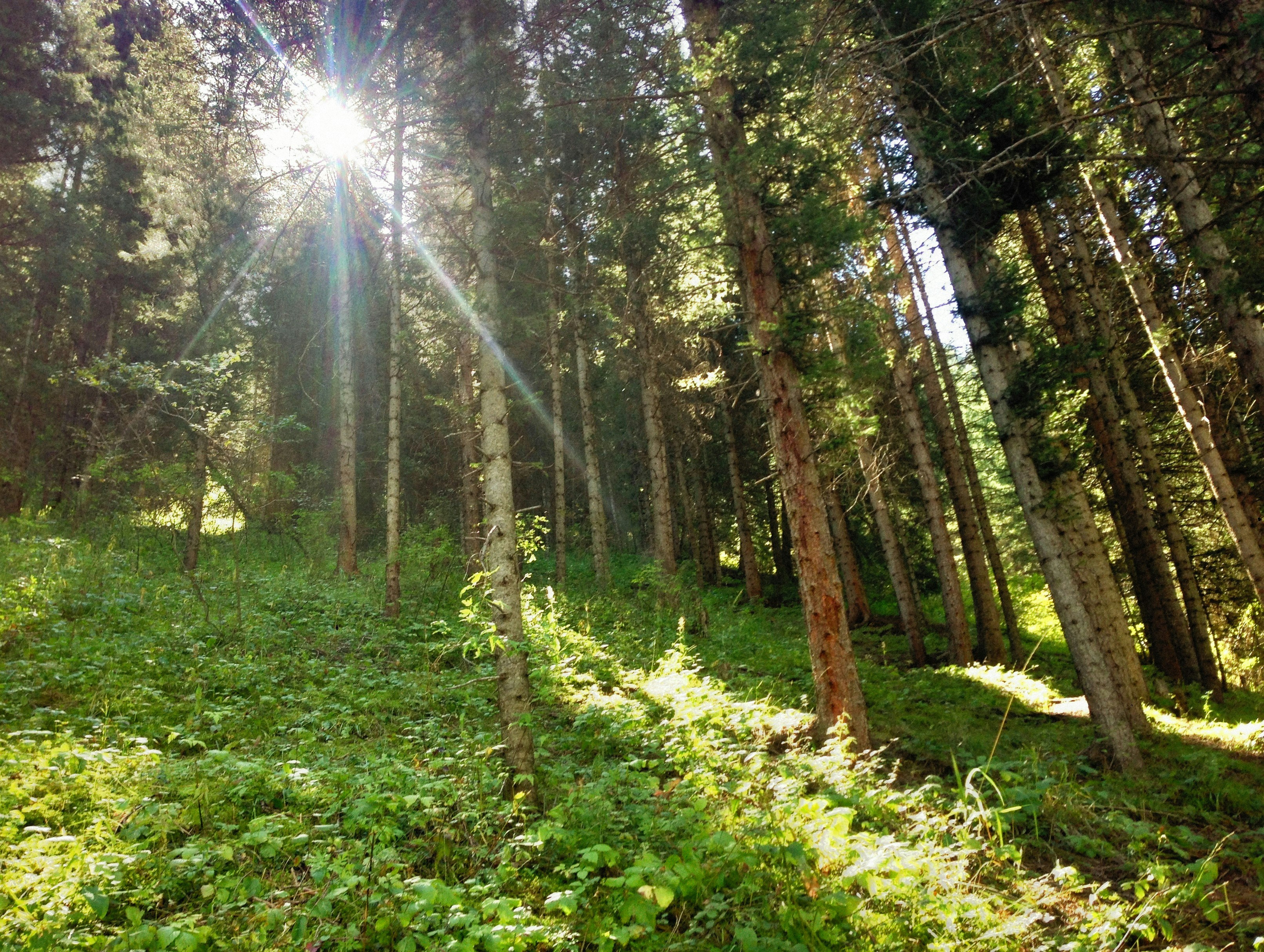 Photo by alexeydemidov