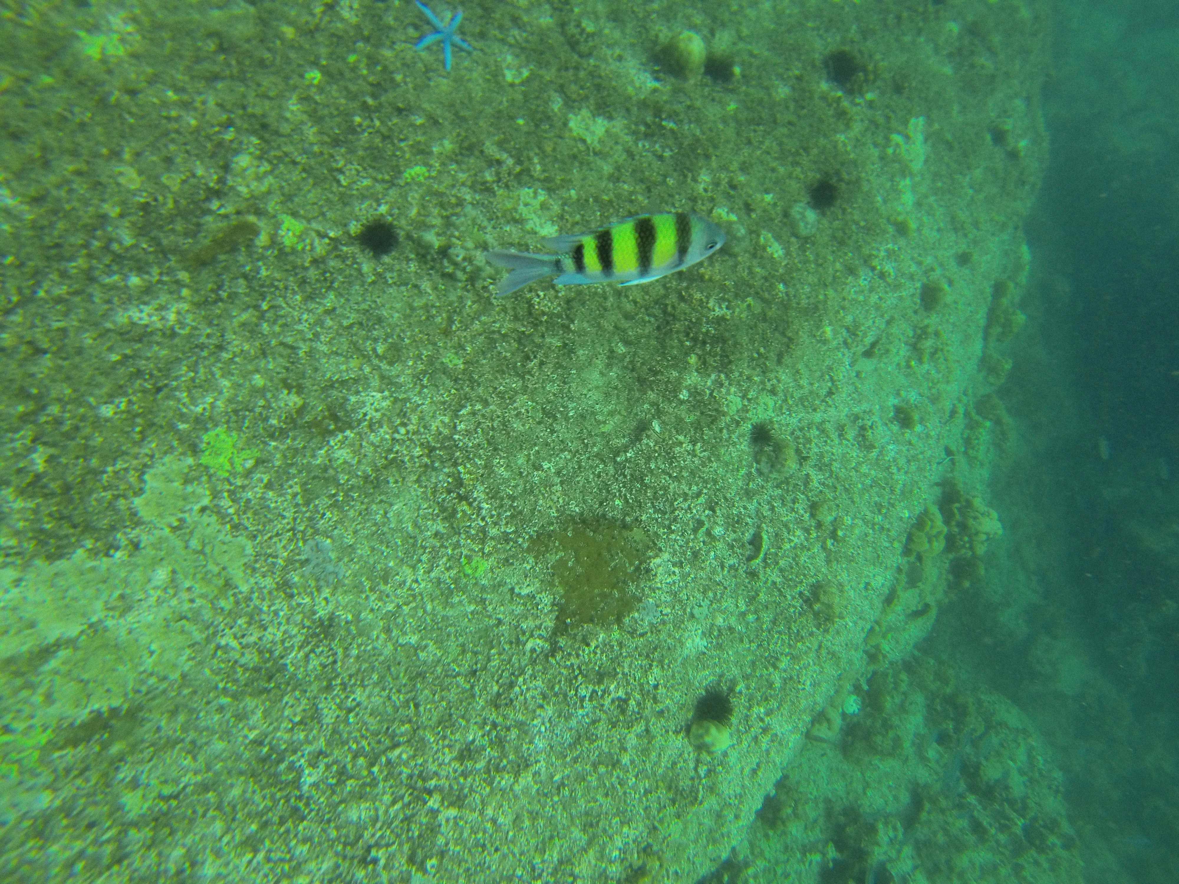 The Shocking Impact of Re-Entry (image credits: unsplash)