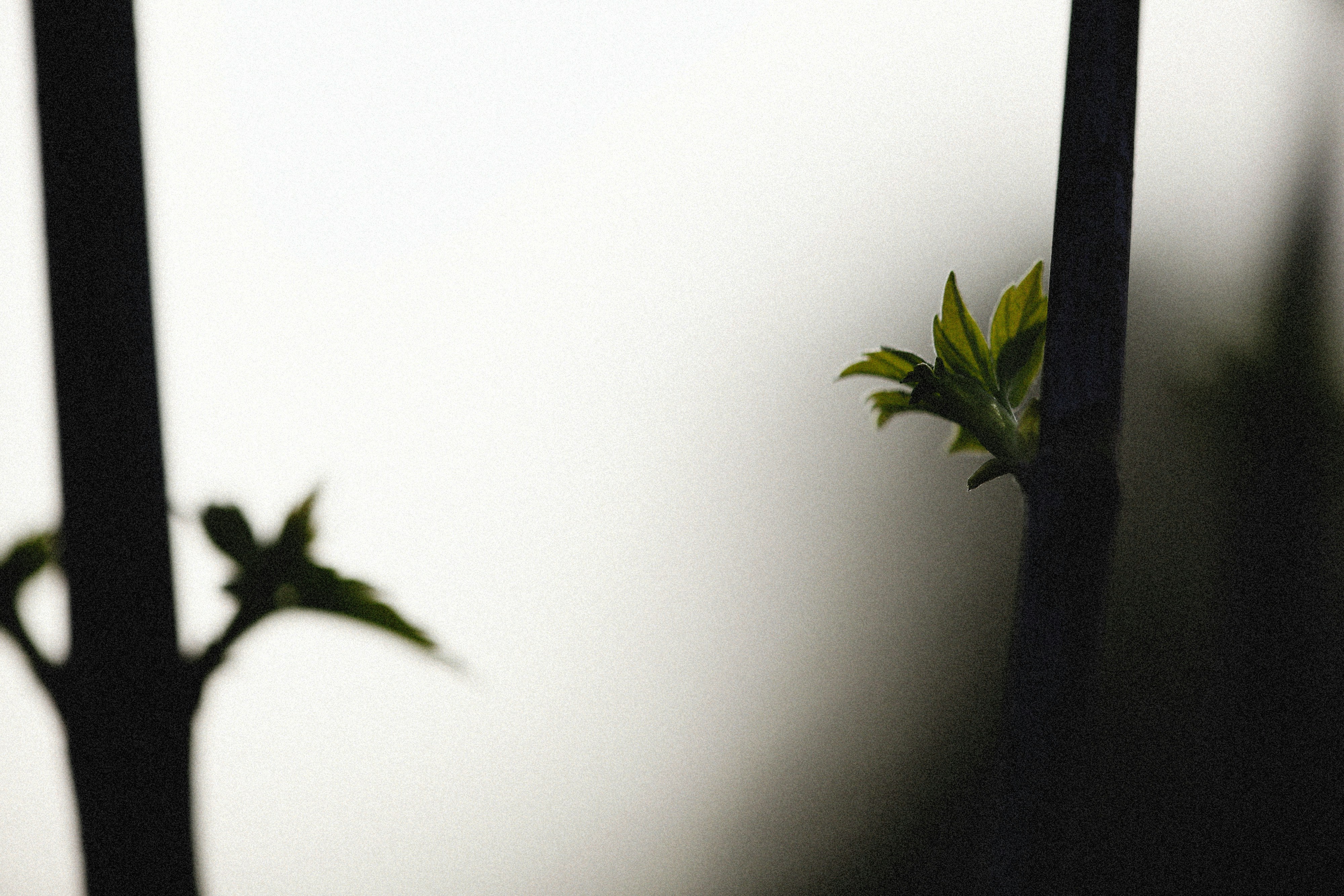 Photo by alexeydemidov