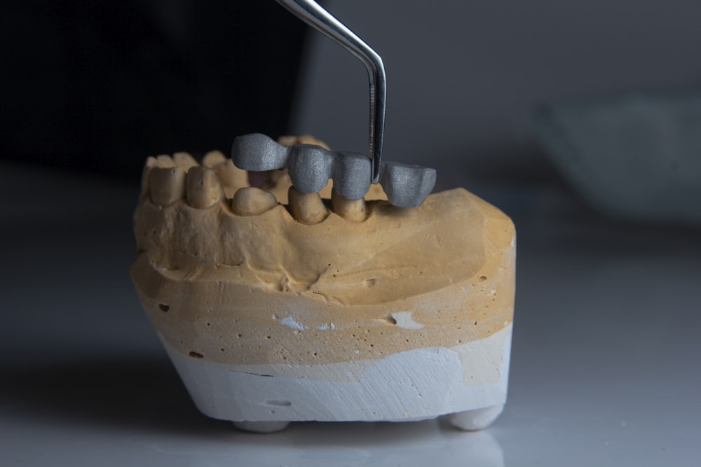 a model of a tooth with a toothbrush in it