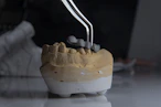 a model of a tooth with a toothbrush in it