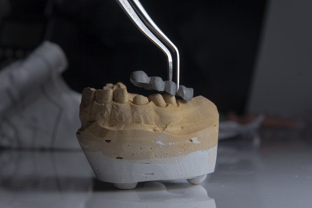 a model of a tooth with a toothbrush in it