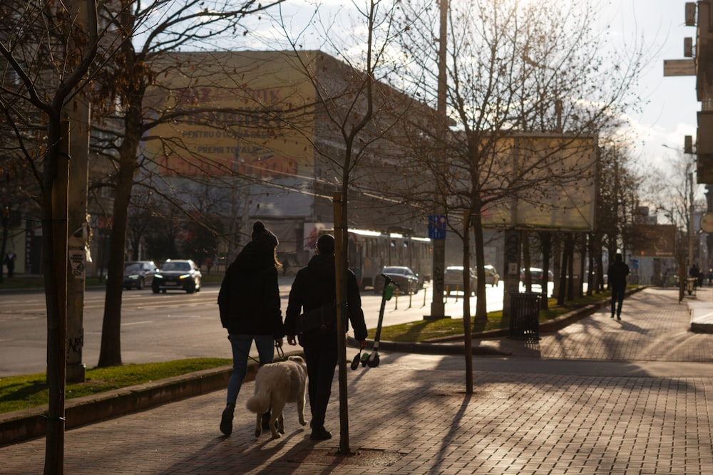 a couple of people walking a dog down a street