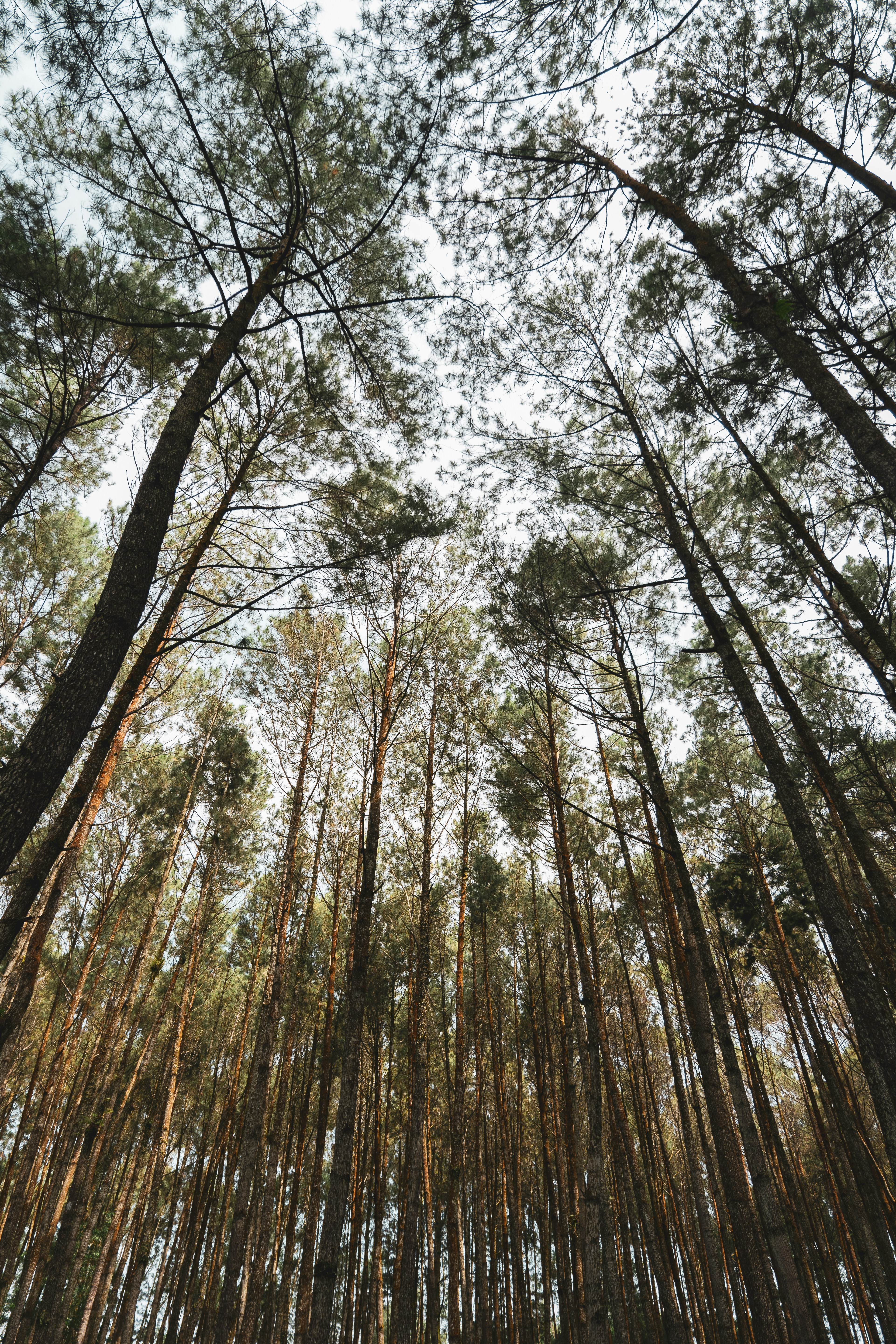 Photo by christojeffrey