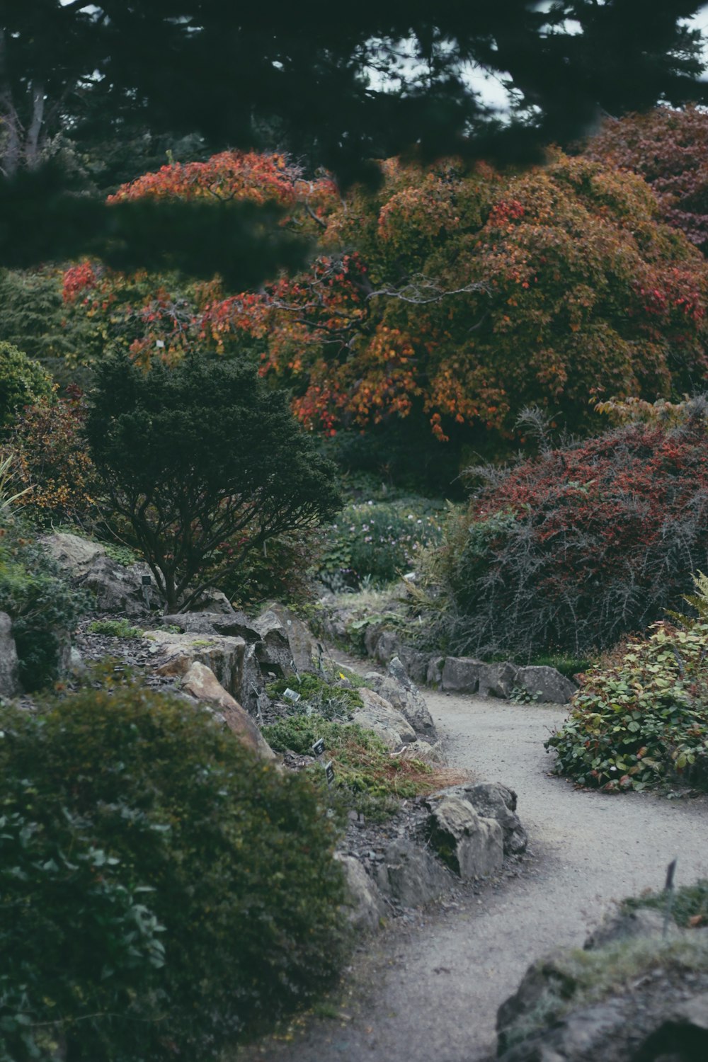 a bench sitting on top of a lush green hillside