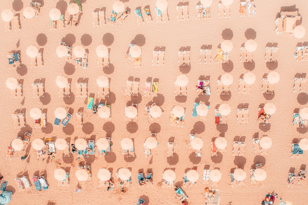 a group of people sitting on top of a sandy beach