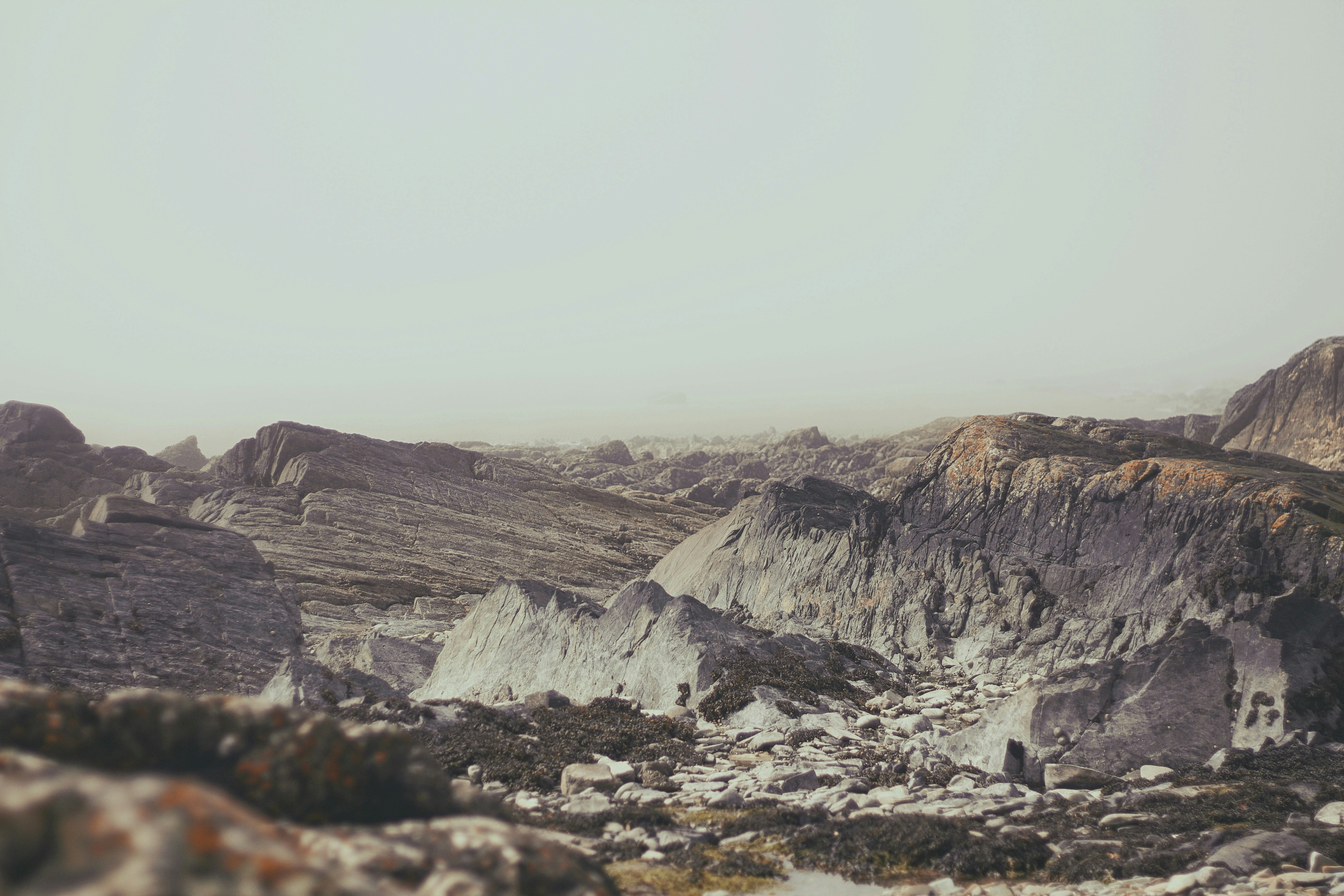 Photo by elena_cosarka