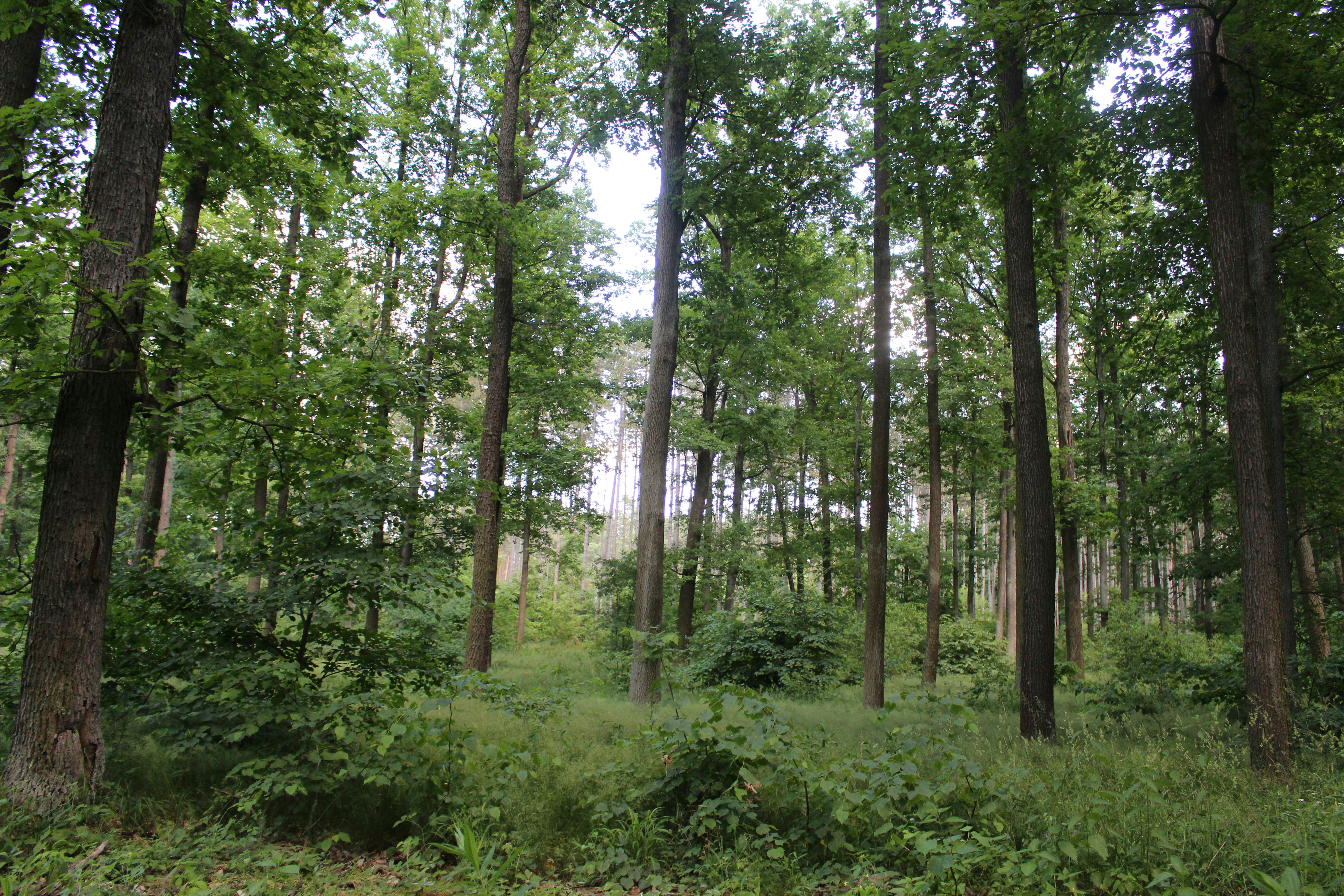 Photo by marjorylucabaxter