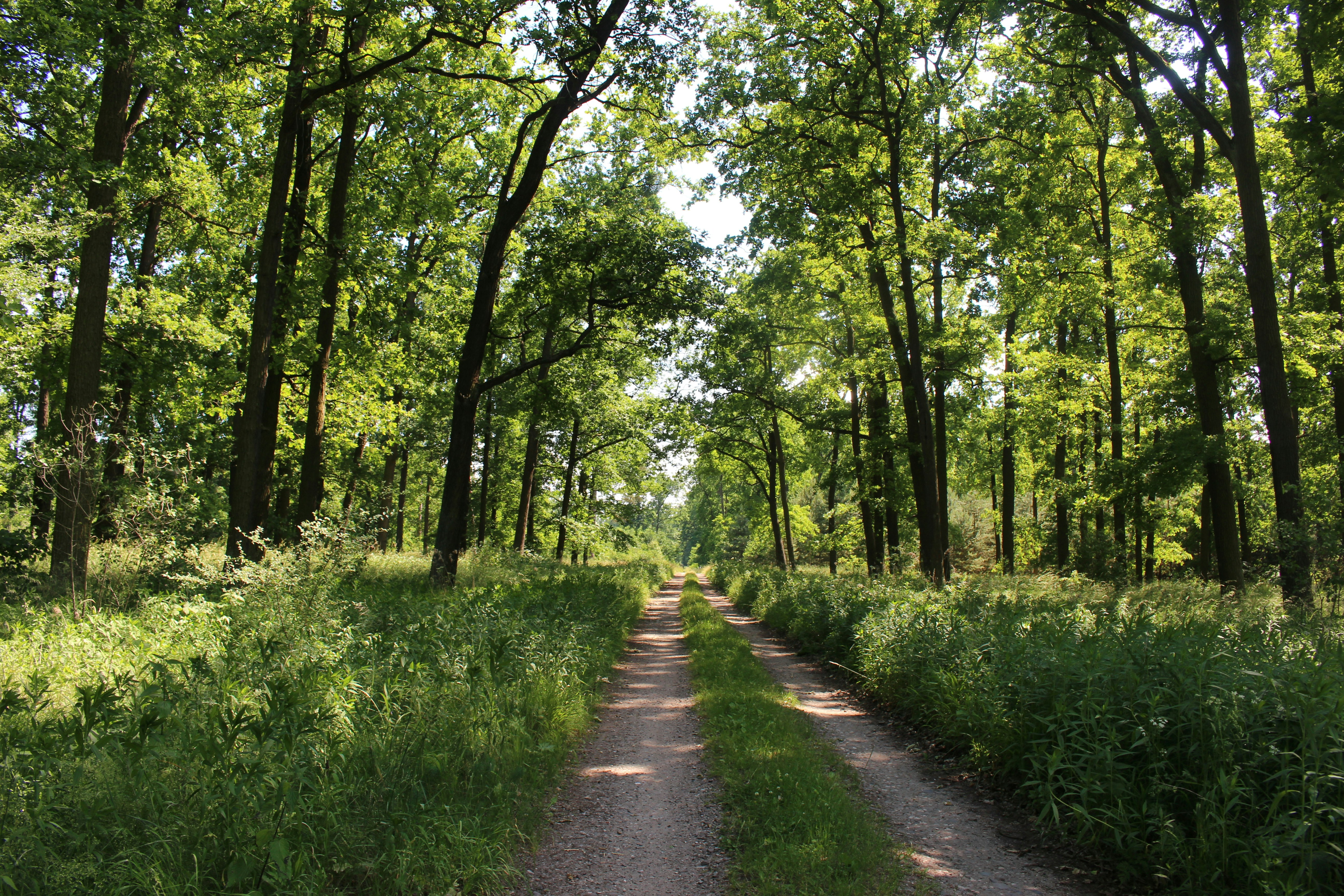 Photo by marjorylucabaxter