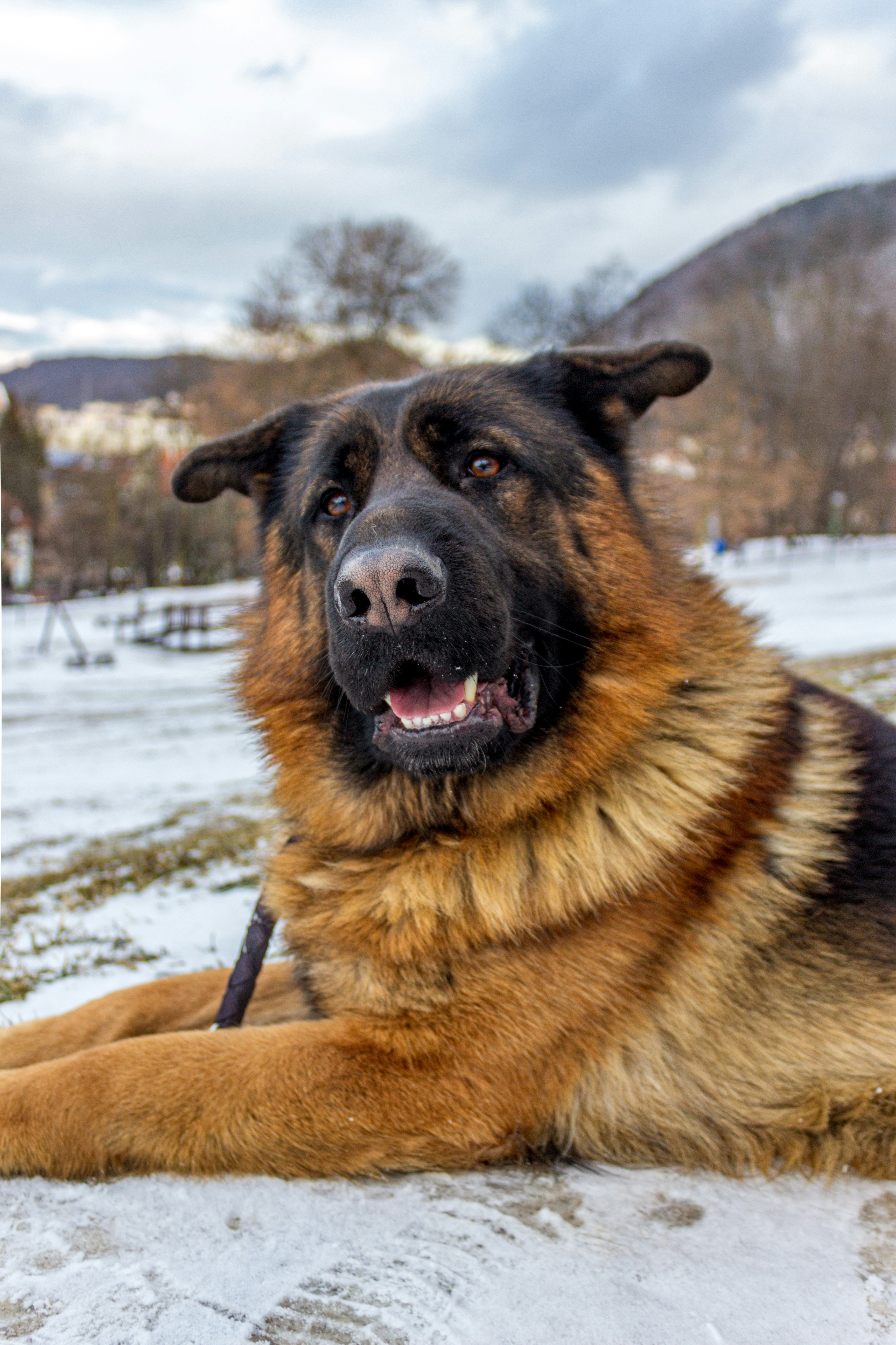 Photo by dominic_sebastian