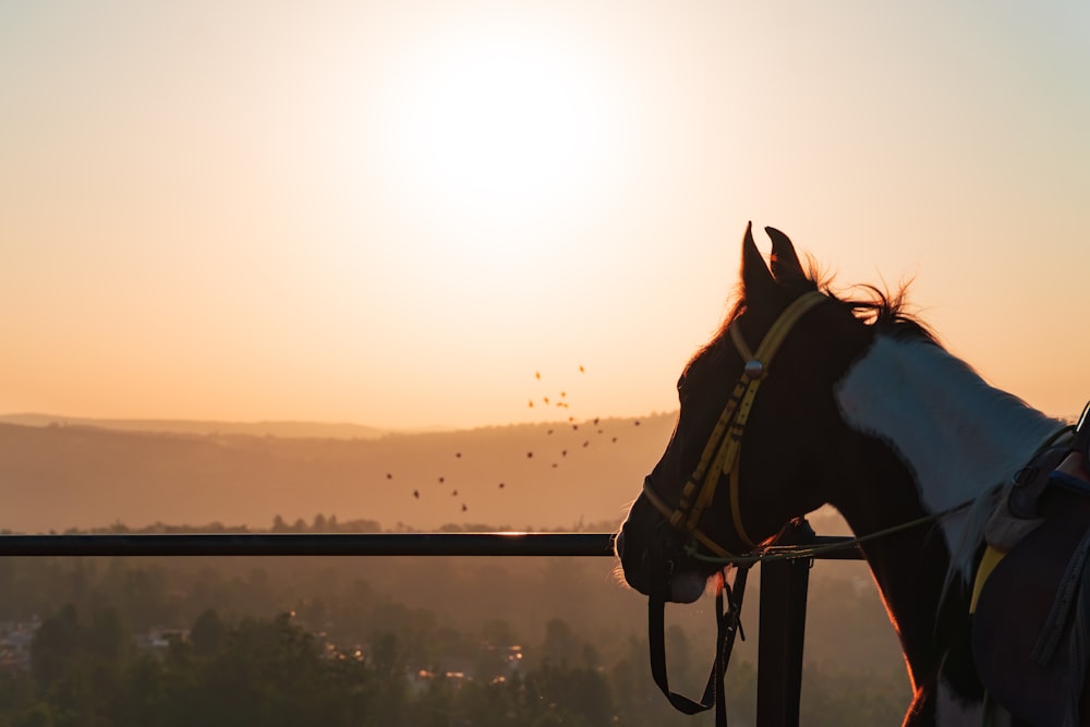 Un caballo que está mirando por encima de una cerca