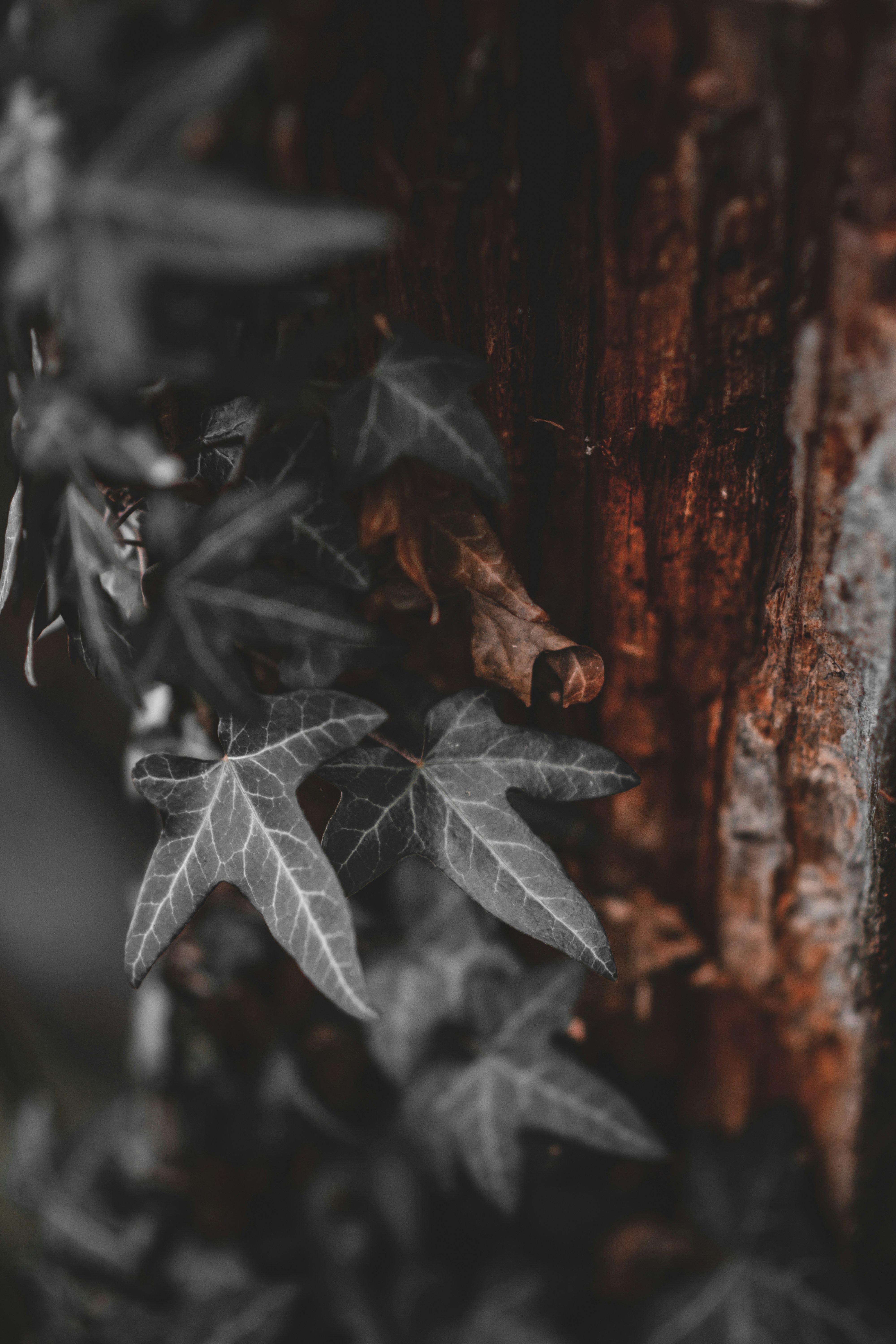 Photo by elliottmason