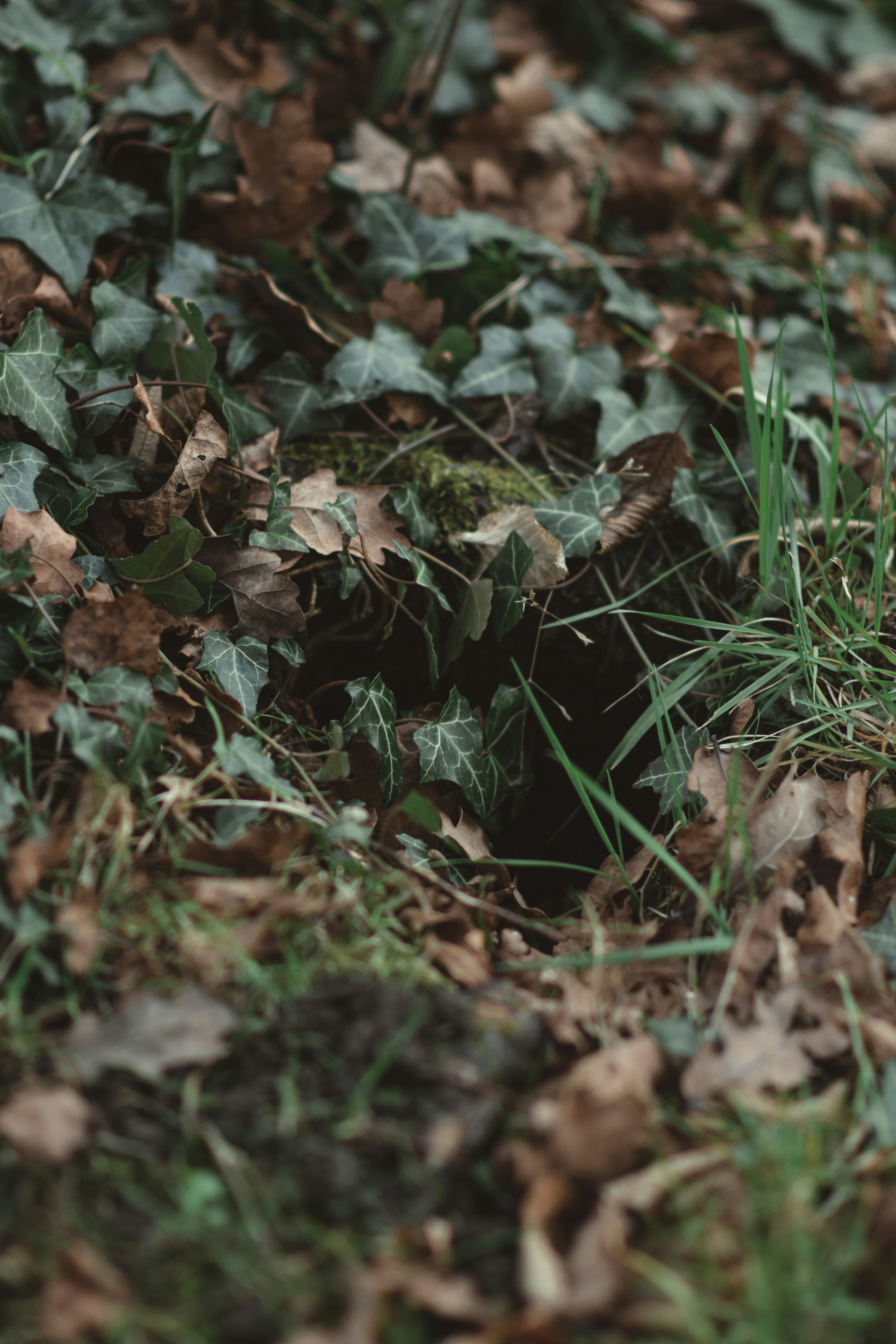 Photo by elliottmason