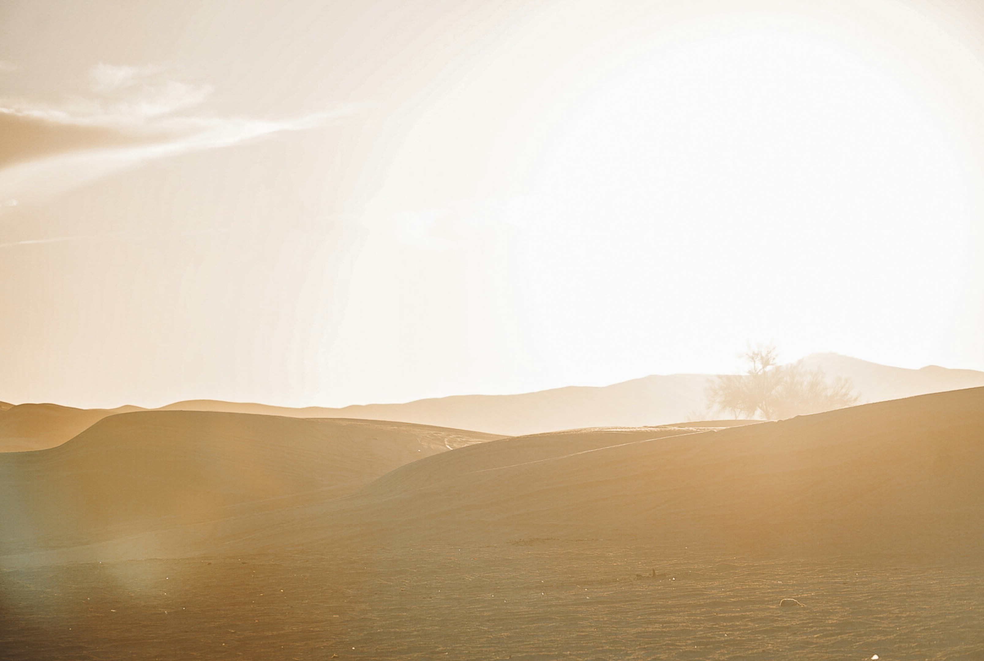 Photo by thalia_s_ruiz