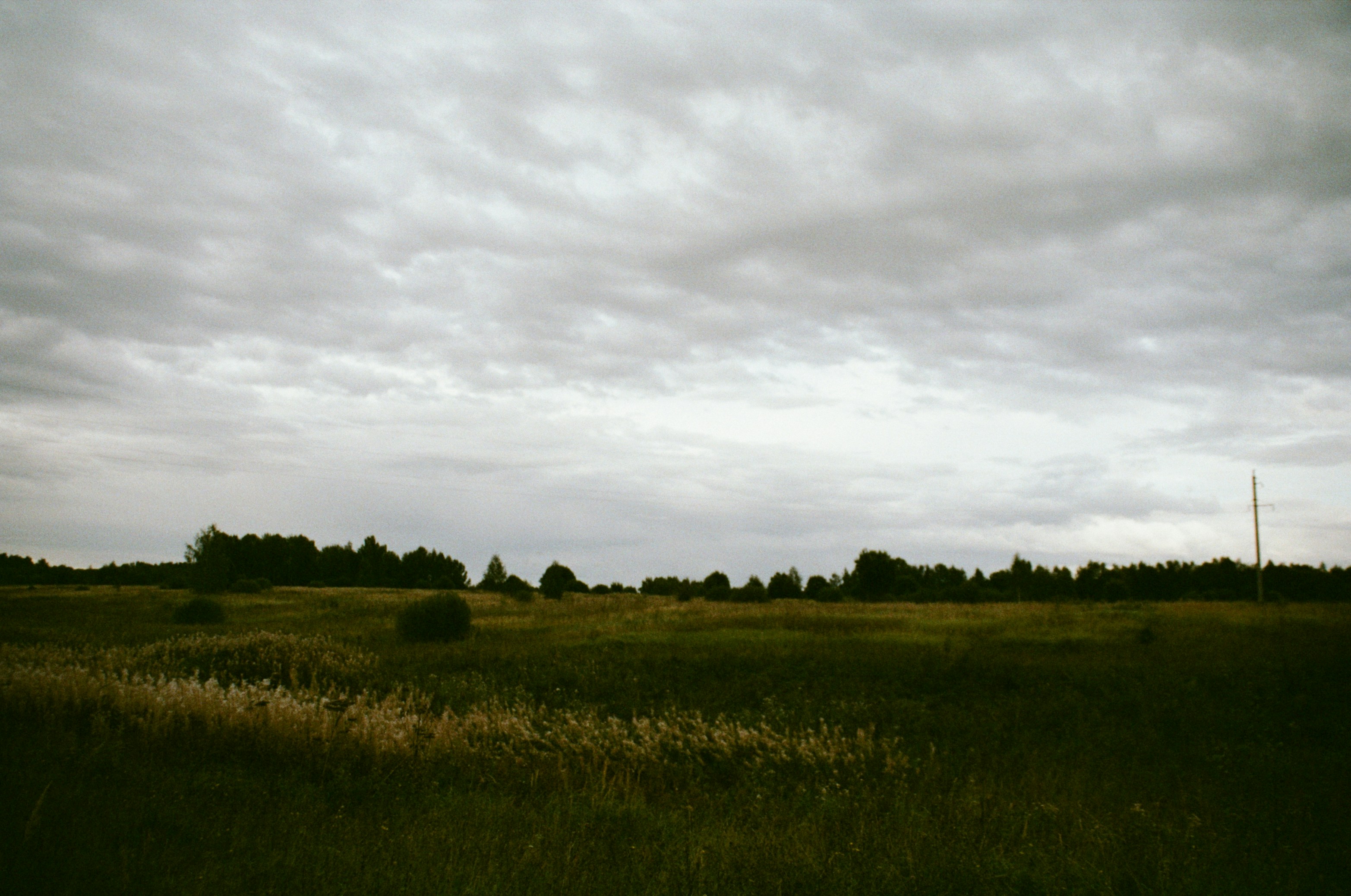 Photo by clupeonella