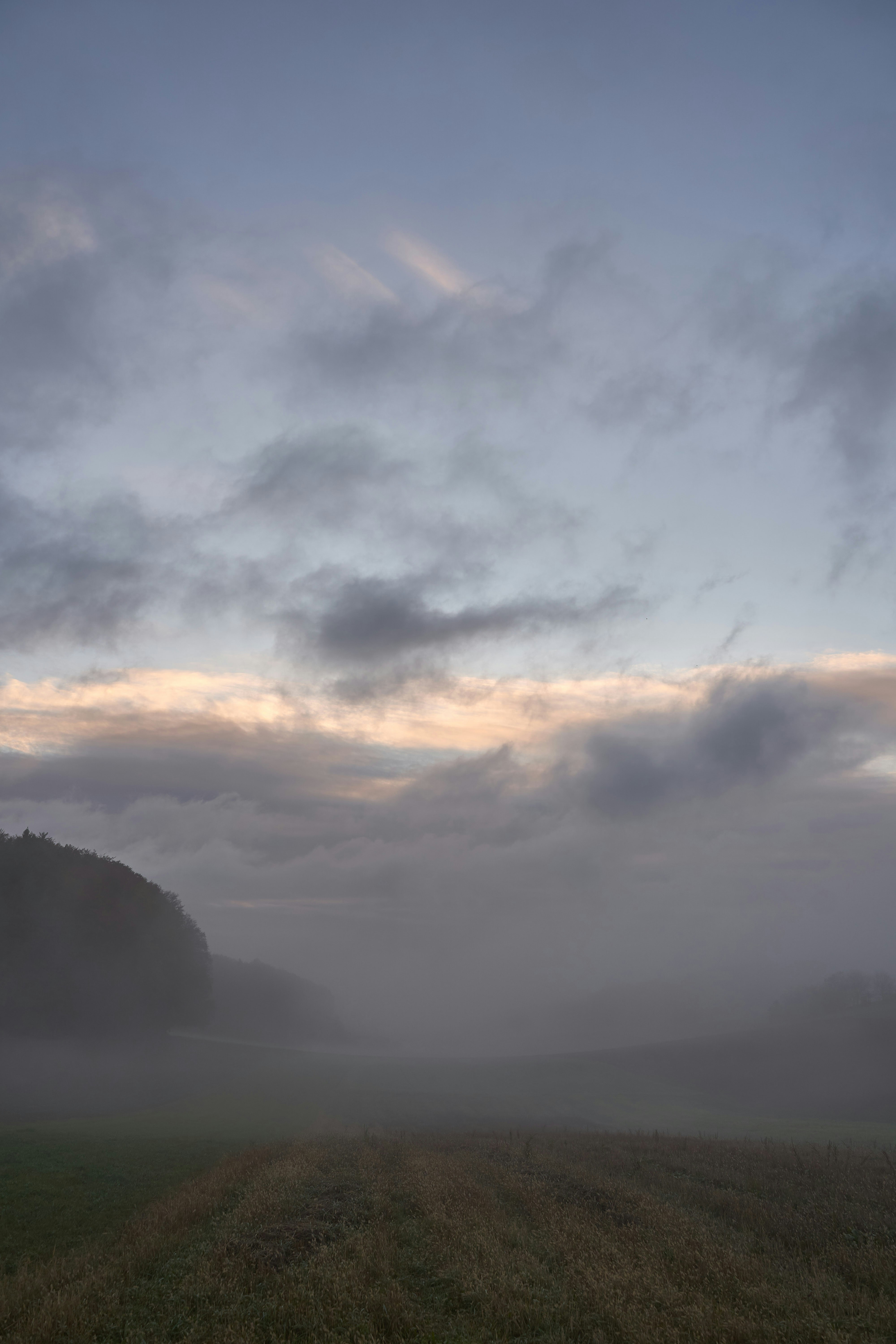 Photo by wolfgang_hasselmann