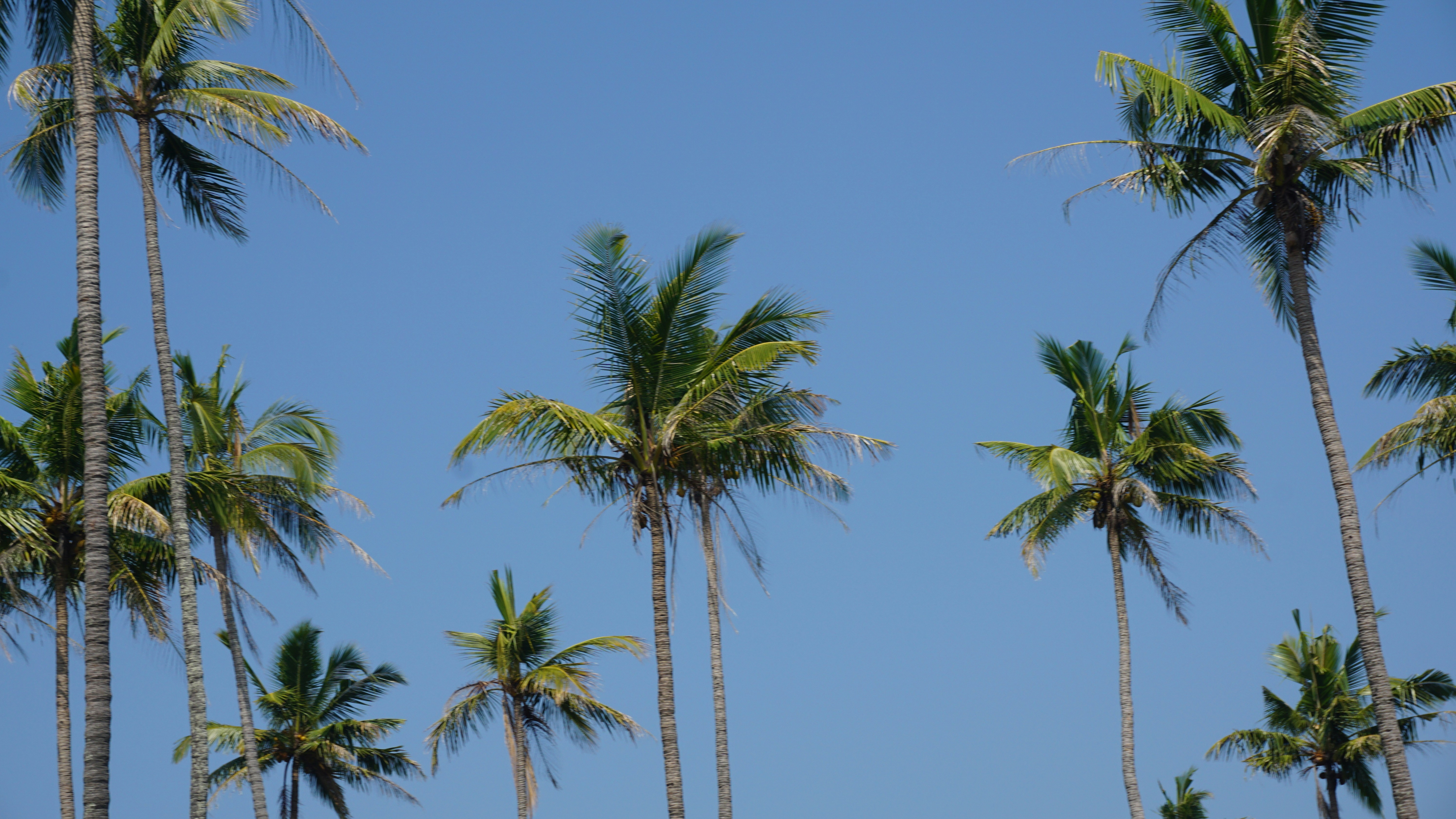 Photo by vivekananda345