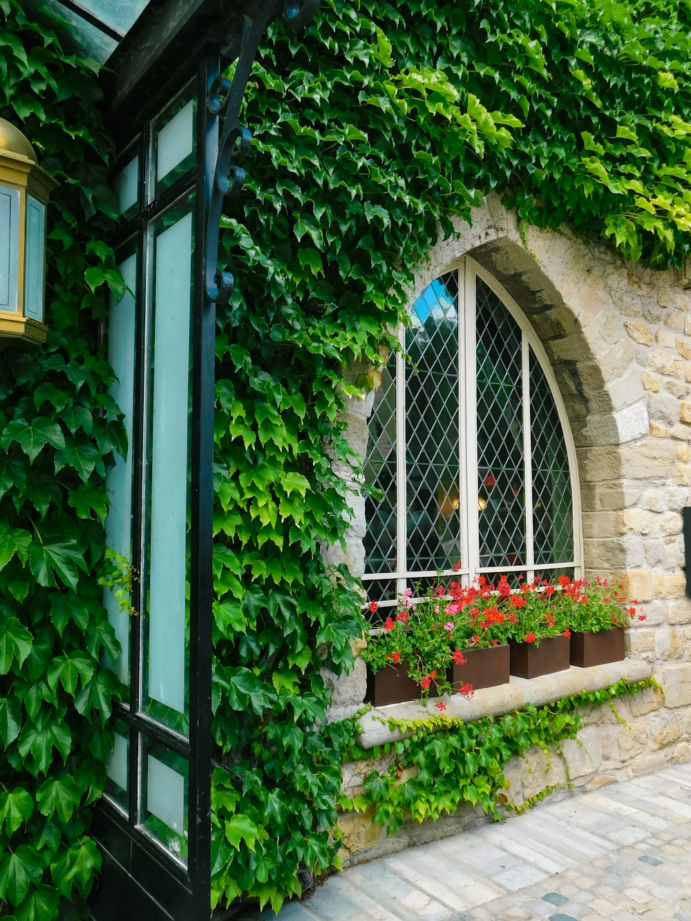 a building with a bunch of plants growing on the side of it