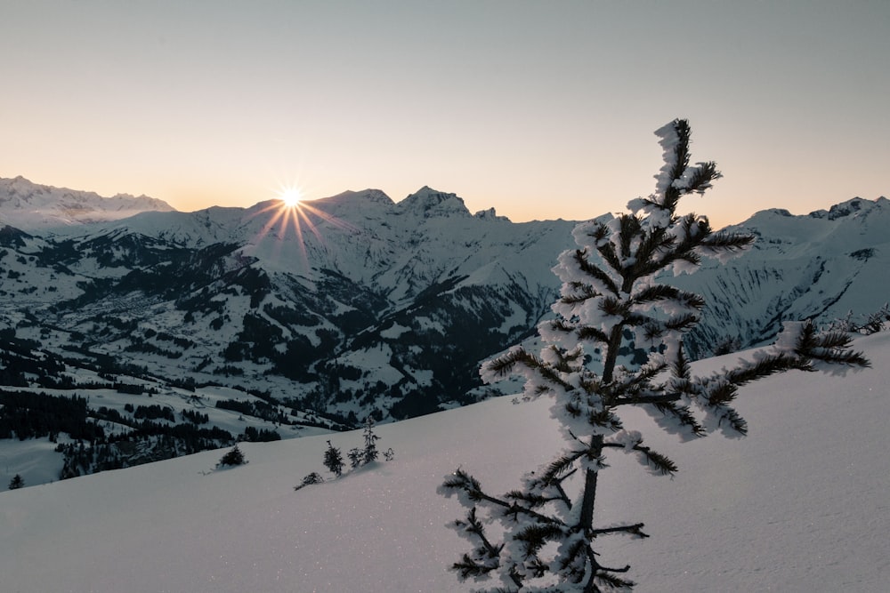 the sun is setting over a snowy mountain range