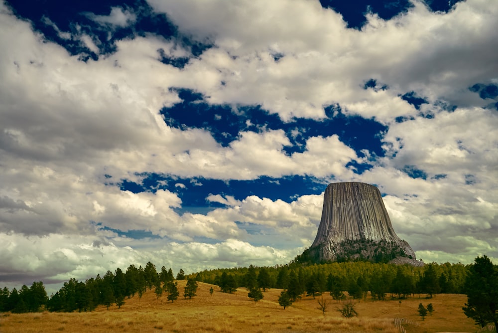 a big rock in the middle of a field