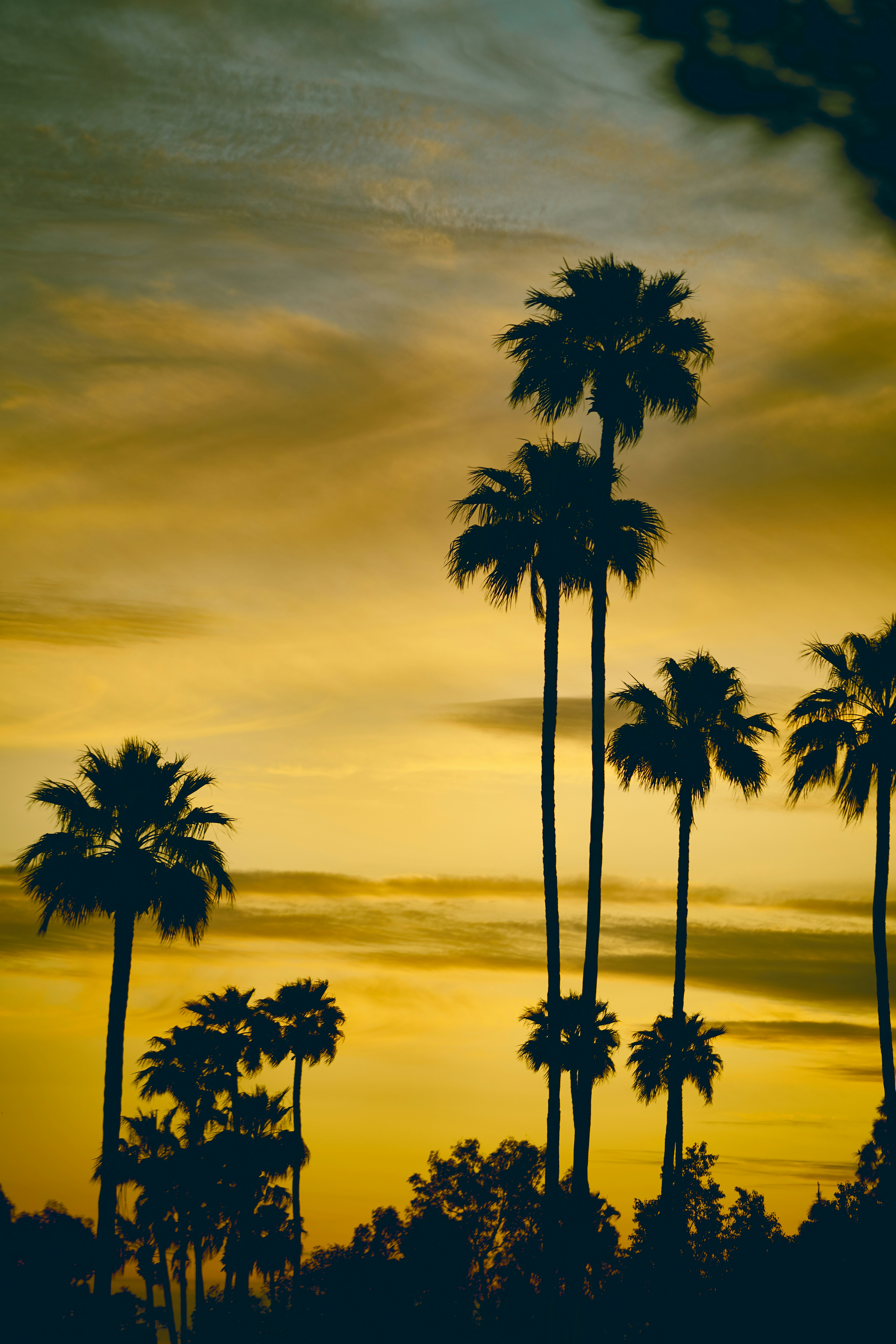 Photo by scottagoodwill