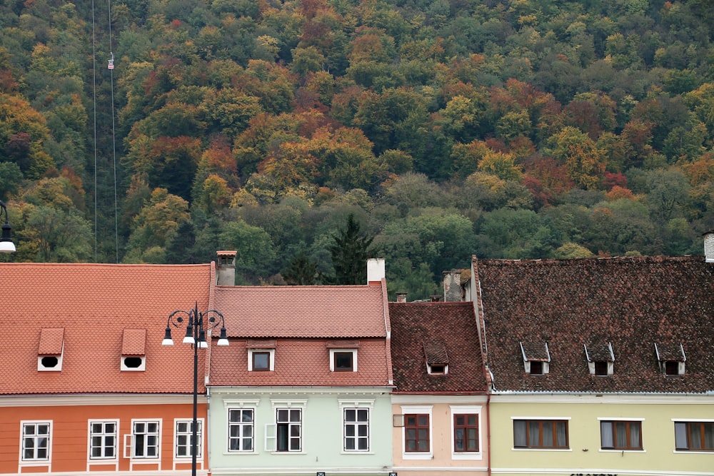 a row of houses with trees in the background