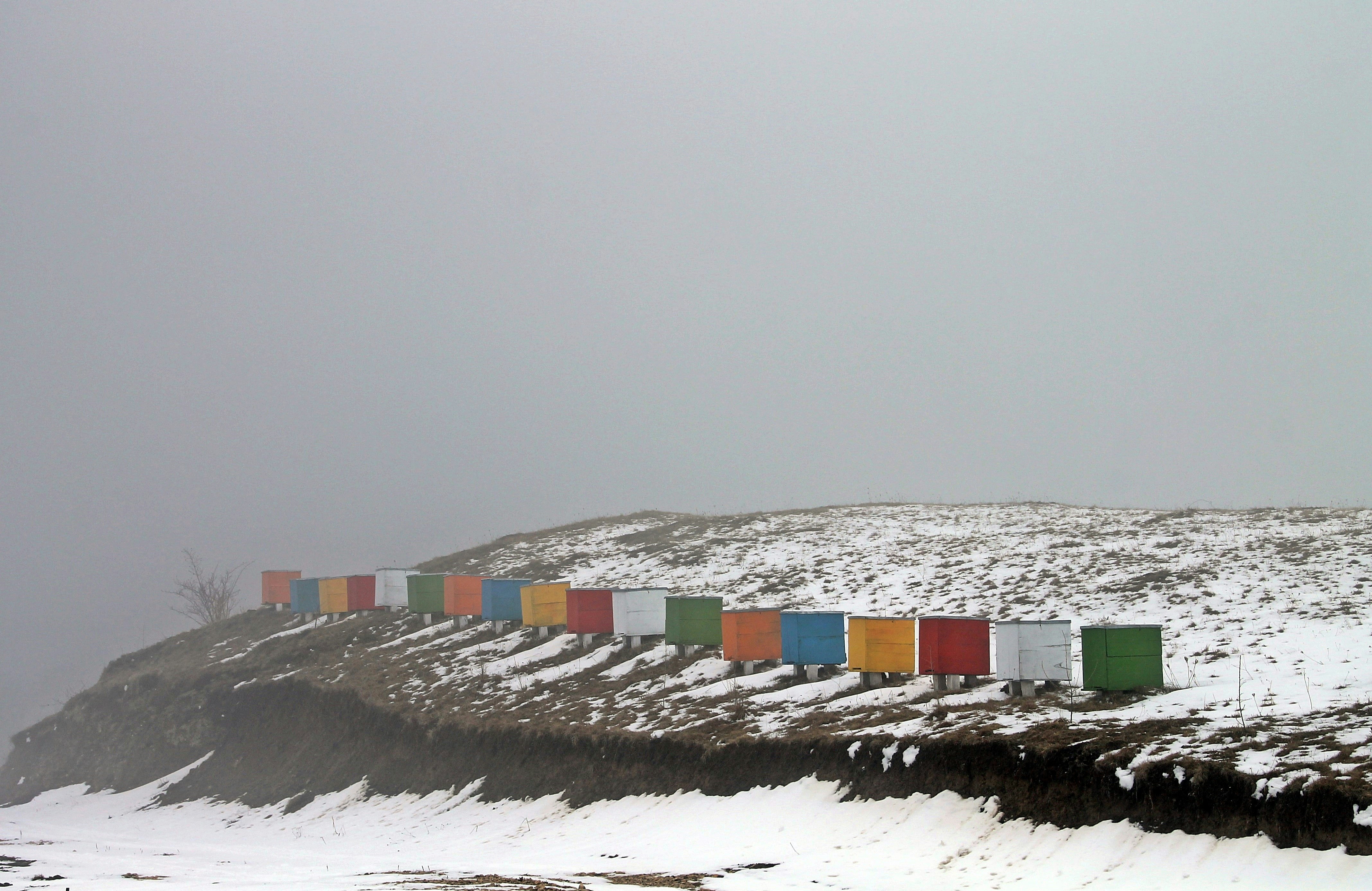 winter color palette