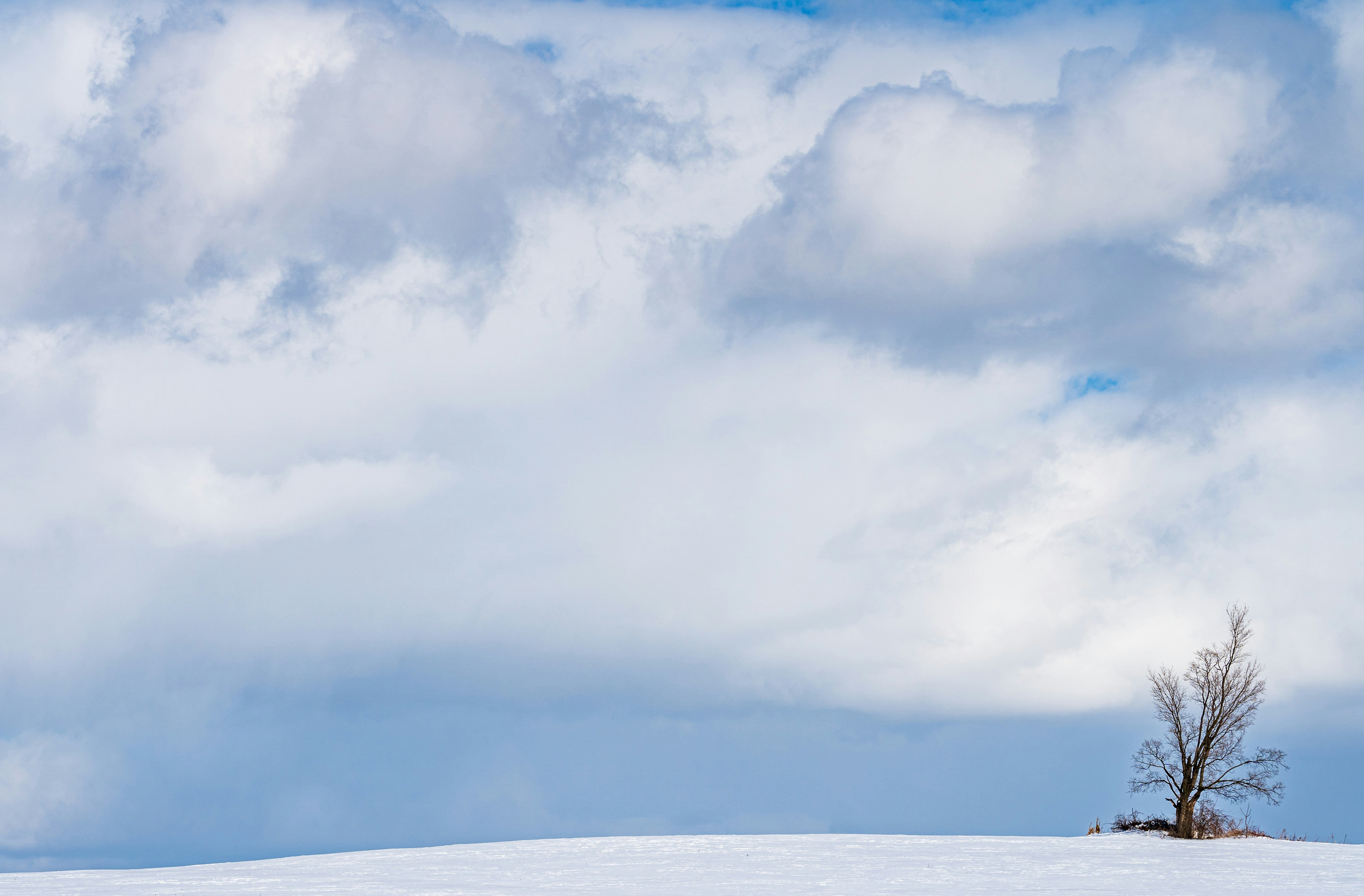 Photo by chris_robert