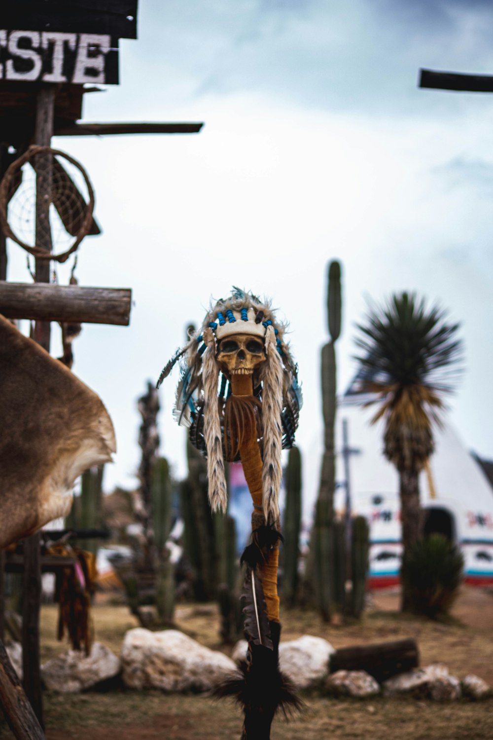 a native american headdress stands in front of a cactus