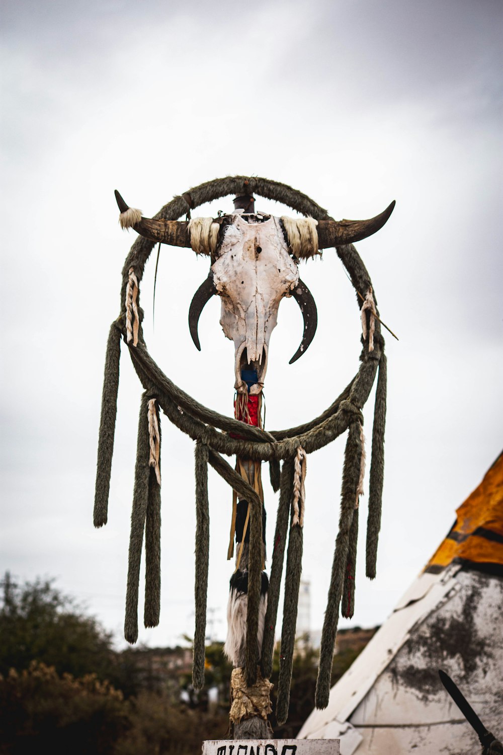 a cow skull with horns and horns hanging from it's back