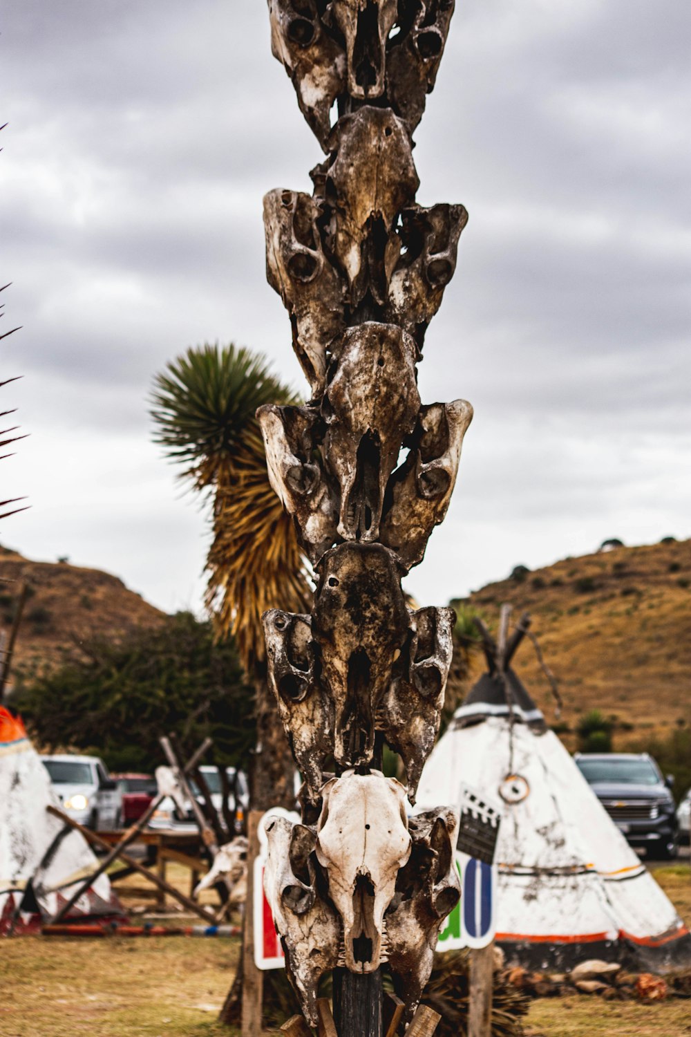 a sculpture made out of animal skulls in a field