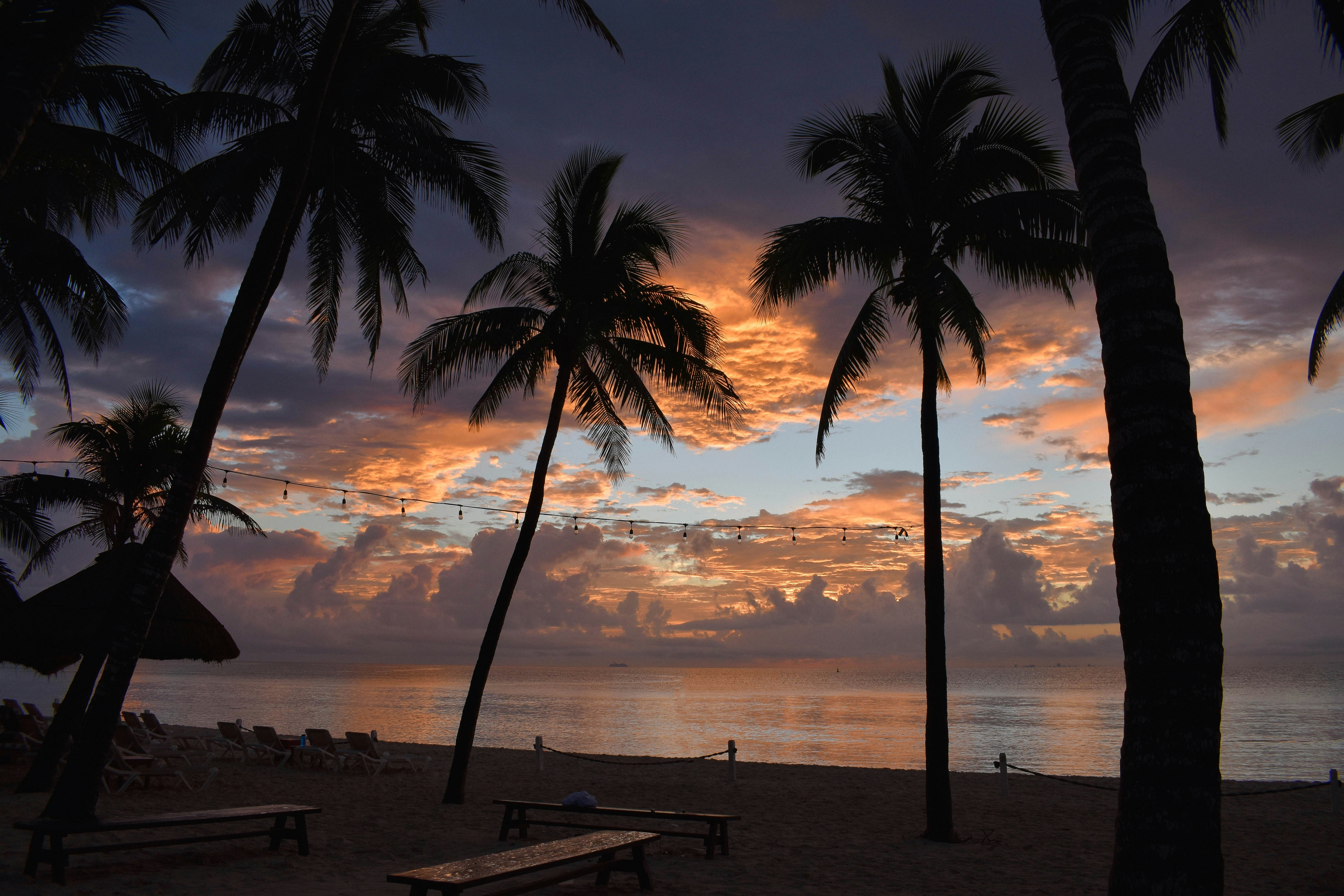 Photo by nickanddjalila