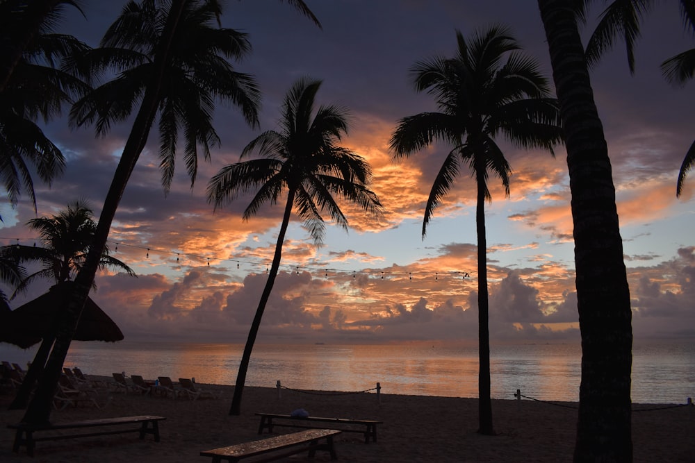 a sunset on a tropical beach with palm trees