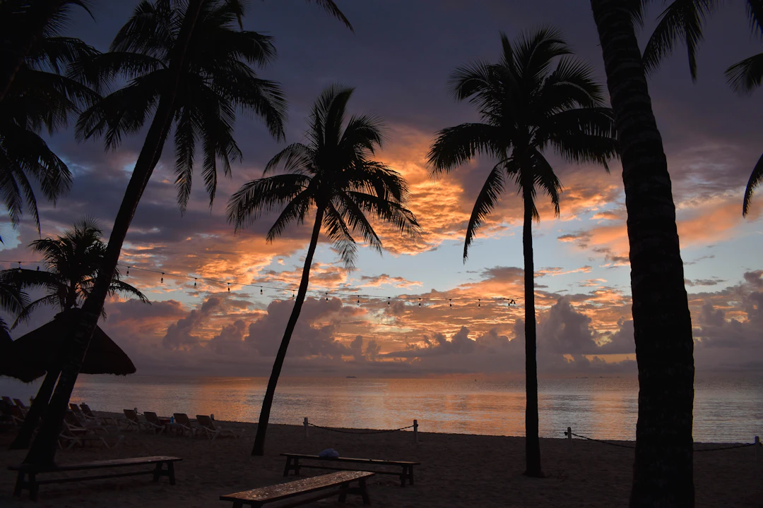 Playa del Carmen Budget Itinerary: 3 Days for $60