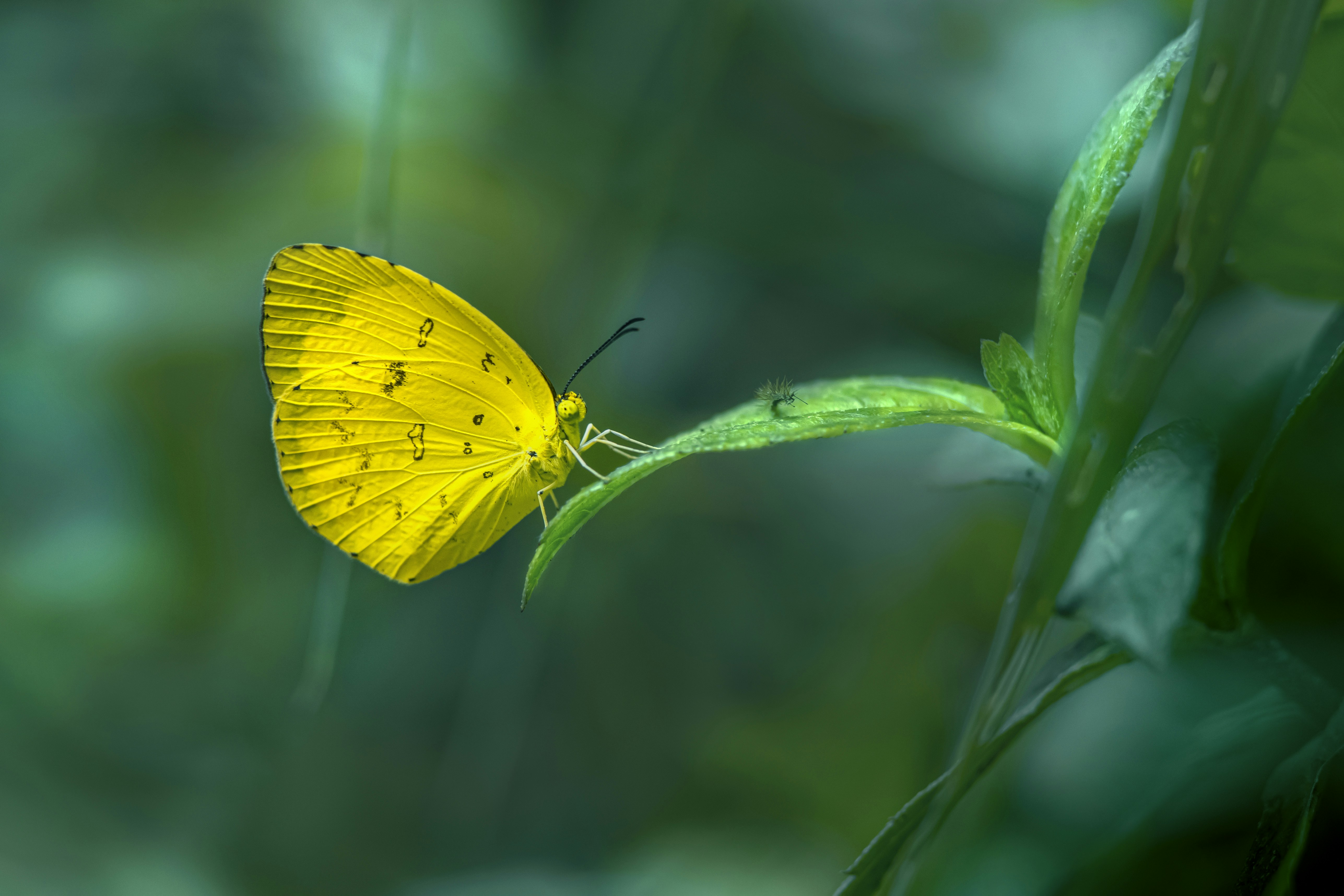 Photo by erik_karits