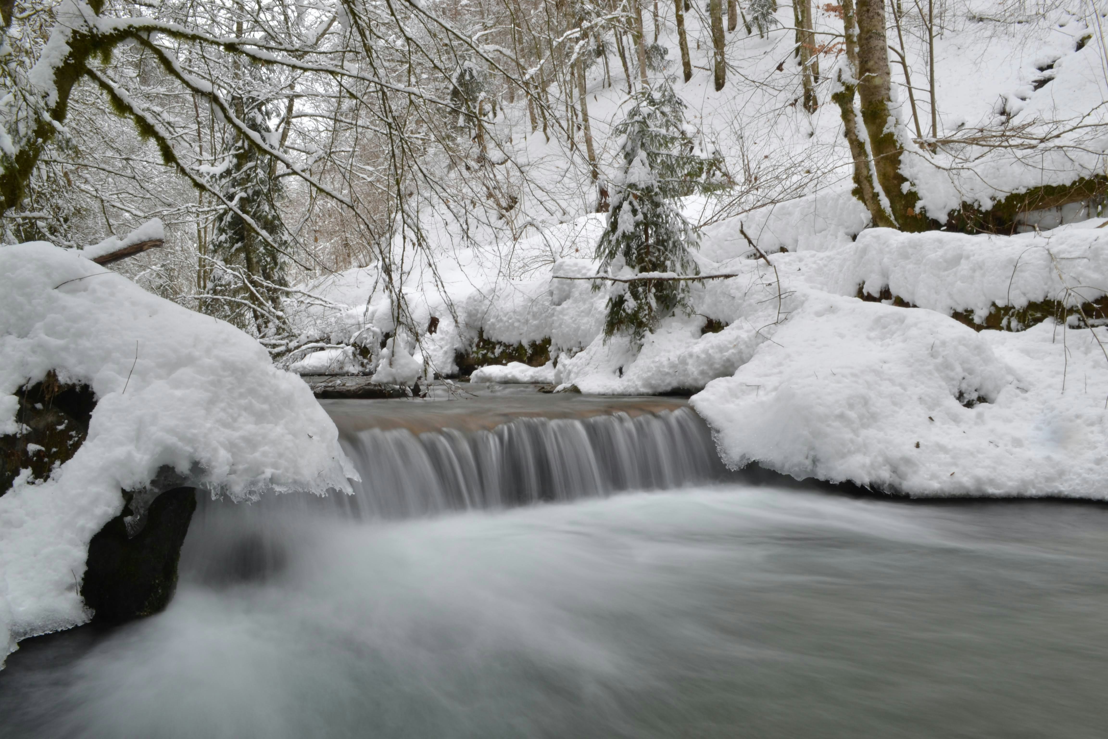 Forest stream water wallpaper, ilustrasi artikel Stay Hydrated Safely: Your Guide to Portable Backcountry Water Filters 7