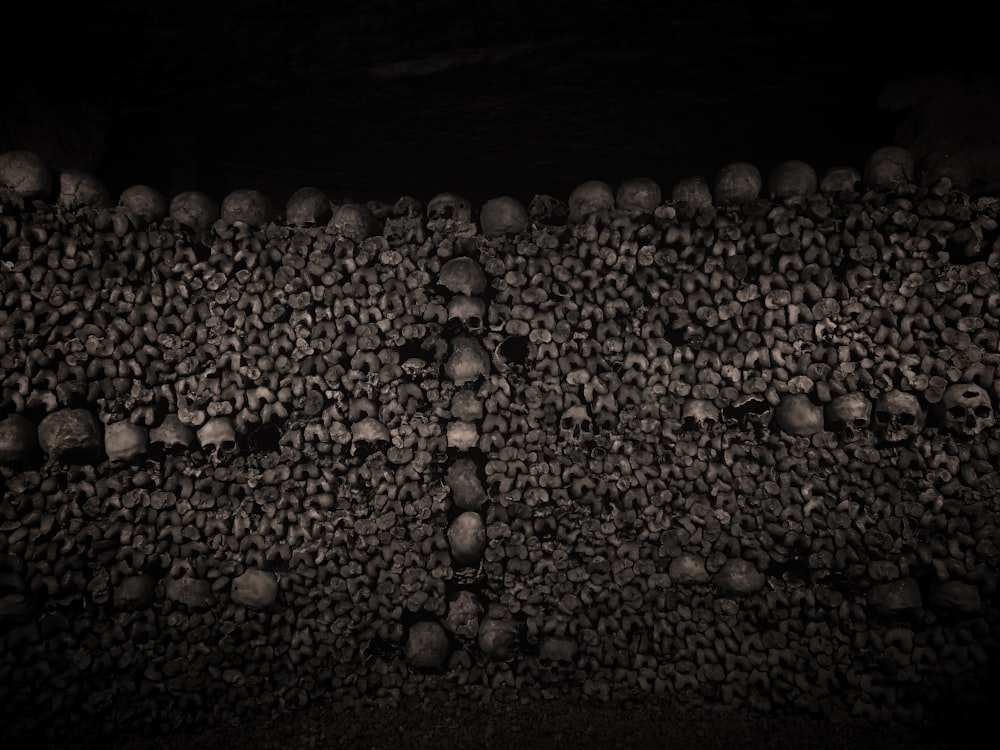 a bunch of skulls that are in the dark