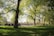 A vibrant community gathering in a lush green park, showcasing people planting trees and engaging in environmental activities.