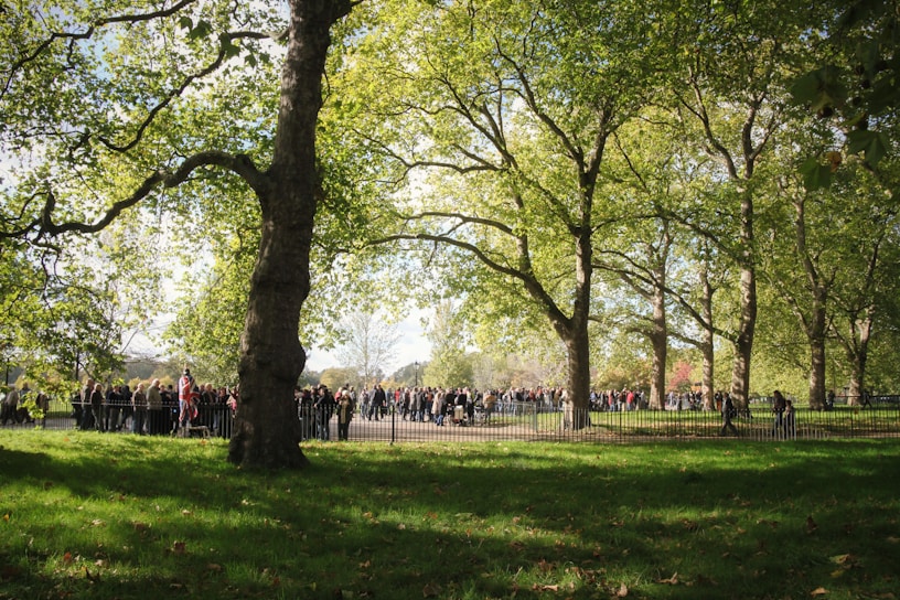 A vibrant community gathering in a sunlit urban park, people connecting and sharing ideas.