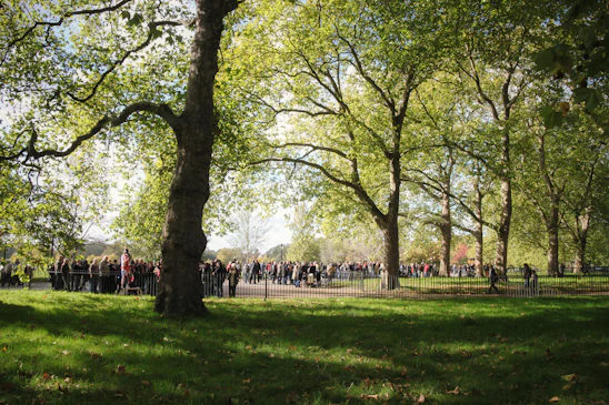 A warm, sunlit community gathering in a lush green park, symbolizing unity and hope.