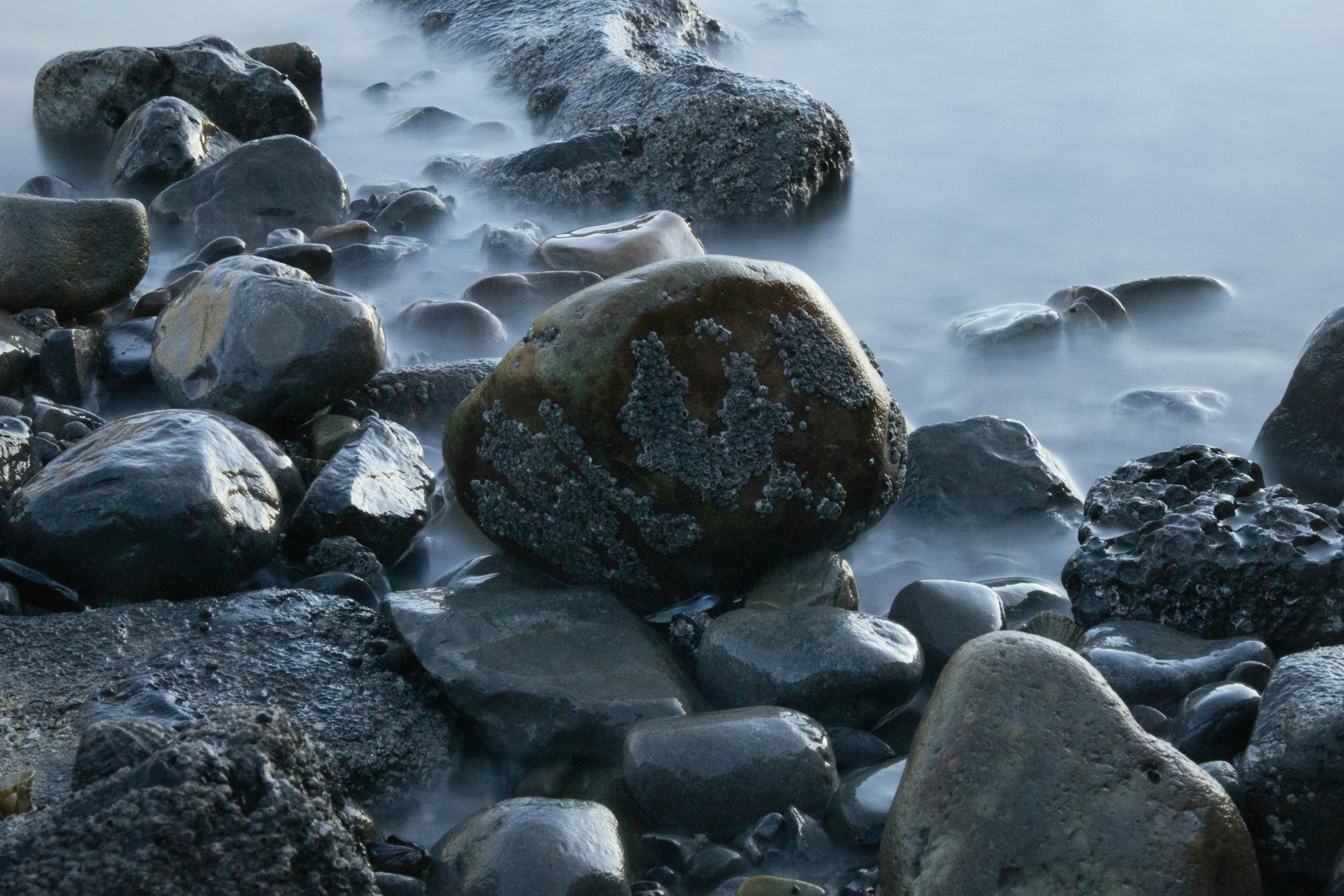 Photo by mathewbrowne